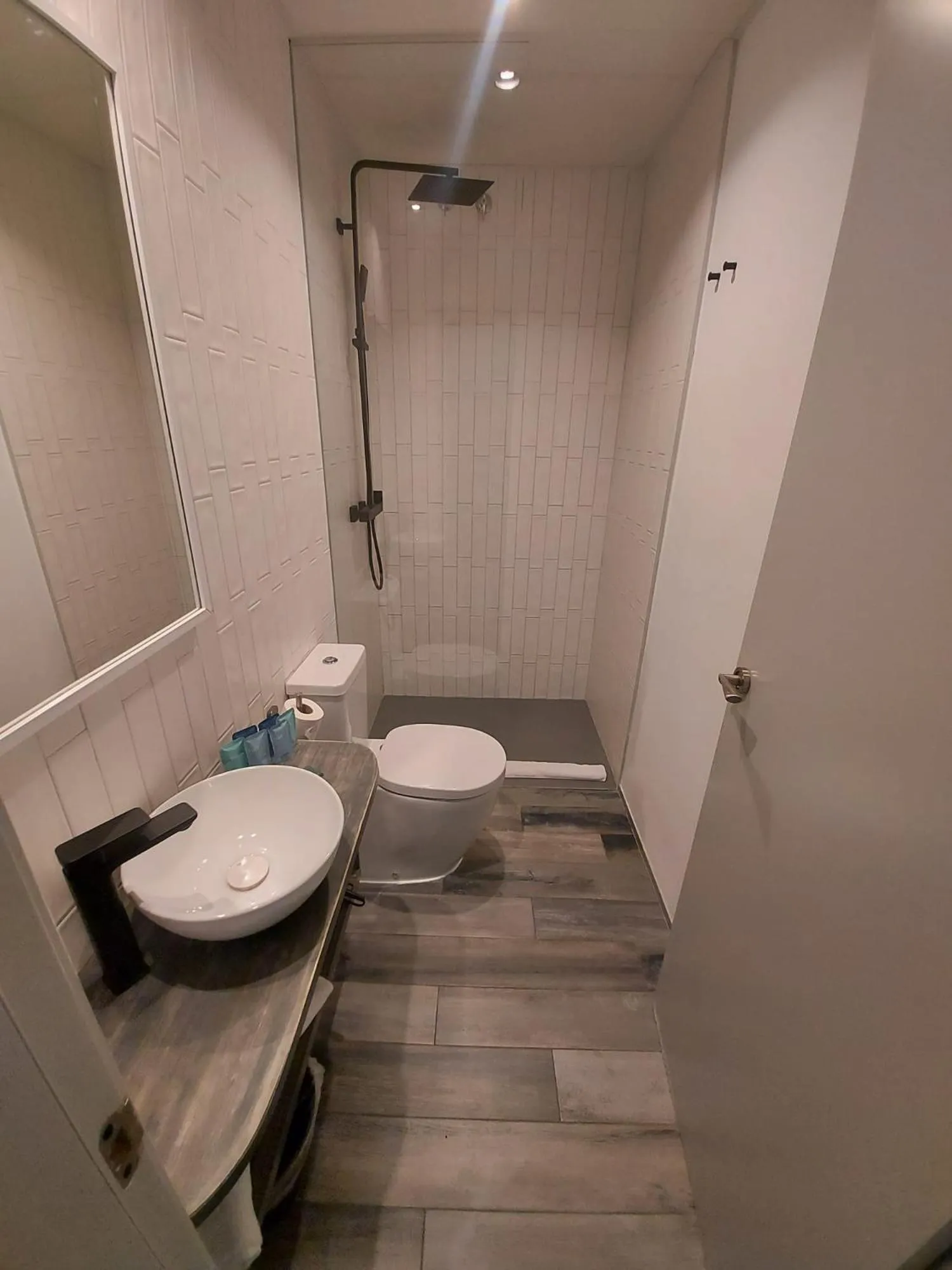 Toilet in Reina Victoria Prado Sastre