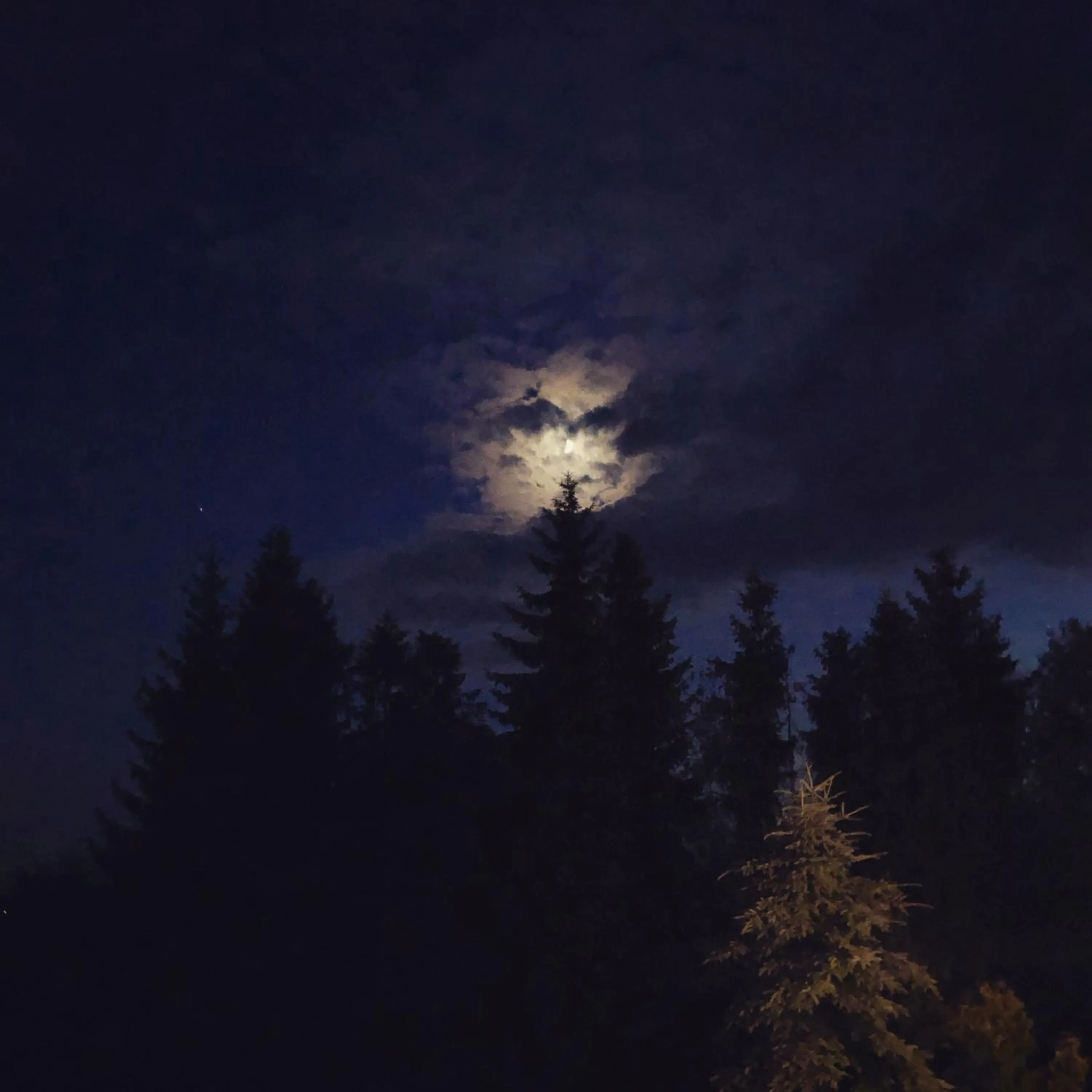 Hotel Restauracja U Guta