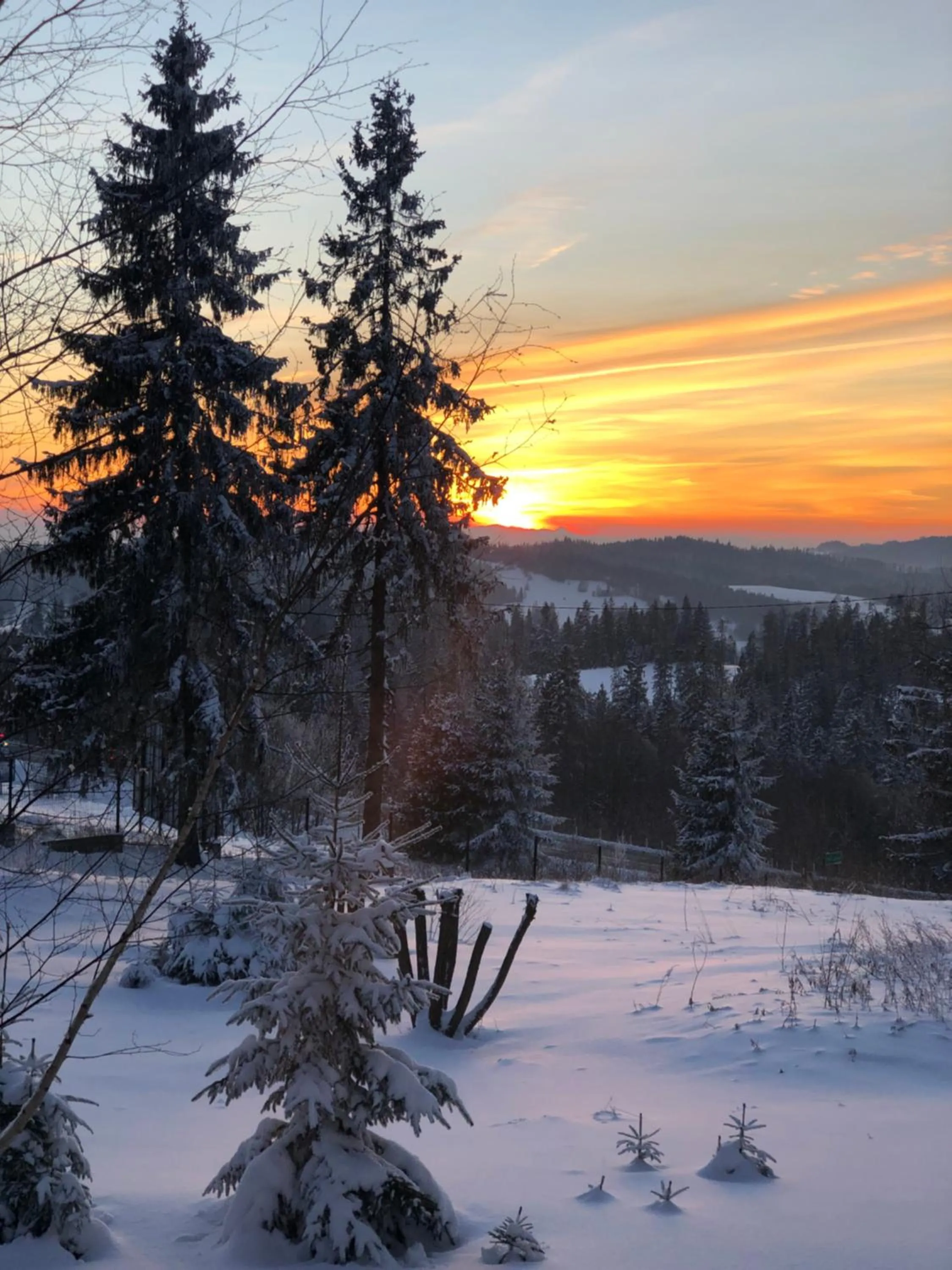 Hotel Restauracja U Guta