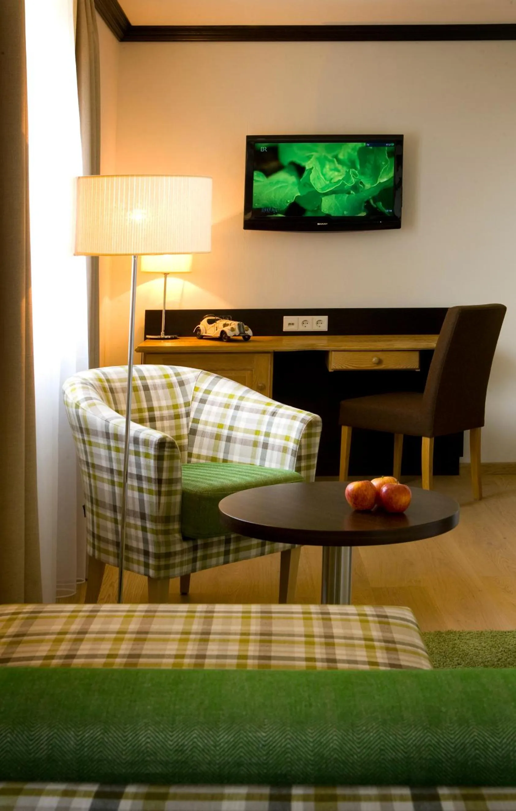 TV and multimedia in Eurener Hof