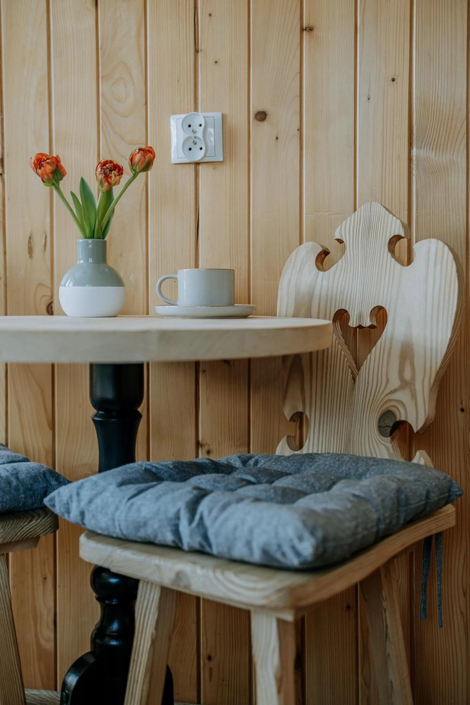 TV and multimedia in Gościna u Maryny Relaks i SPA w Ogrodzie