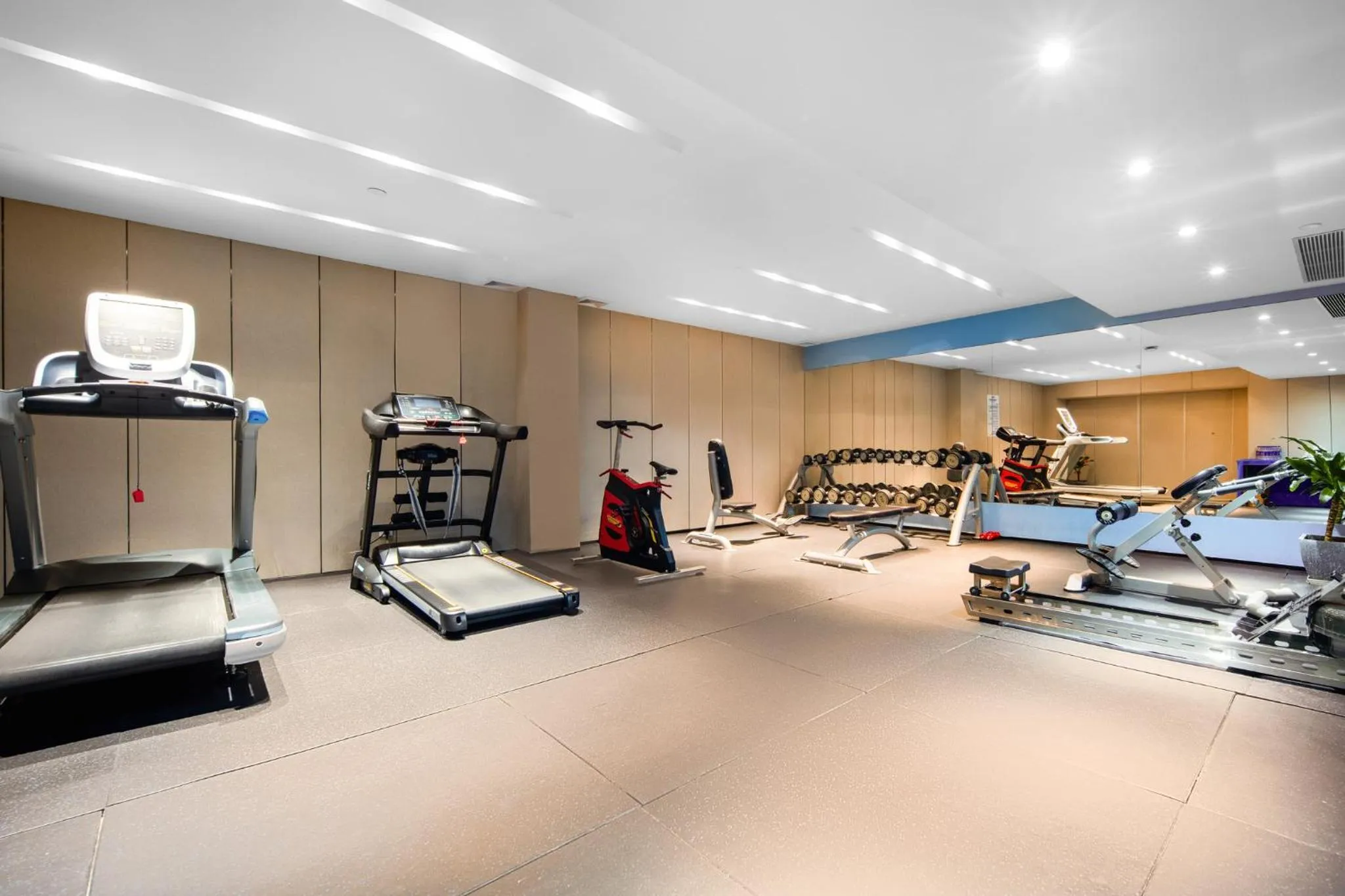 Fitness centre/facilities in Holiday Inn Express Shenzhen Dongmen by IHG