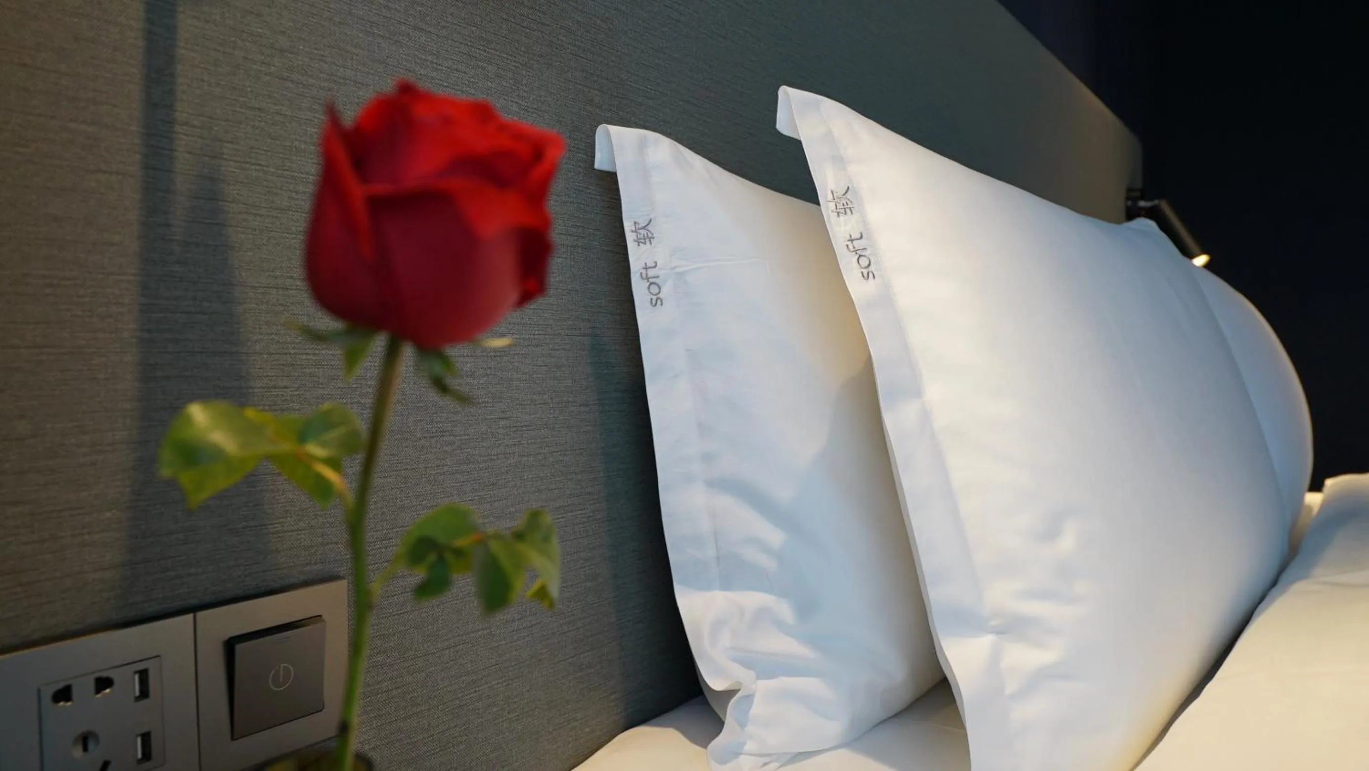 Bed in Holiday Inn Express Shenzhen Dongmen by IHG