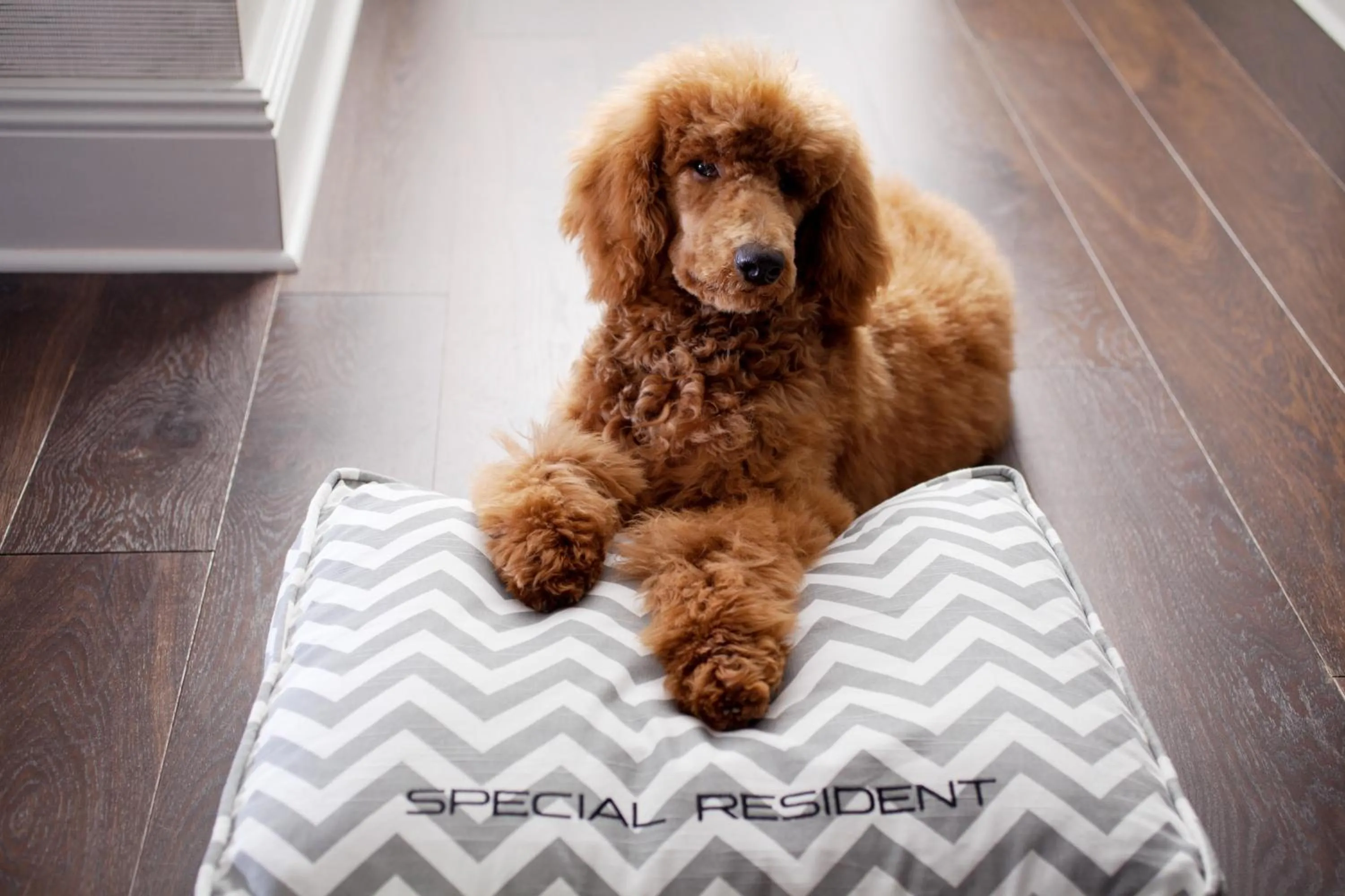 Other in WestHouse Hotel New York