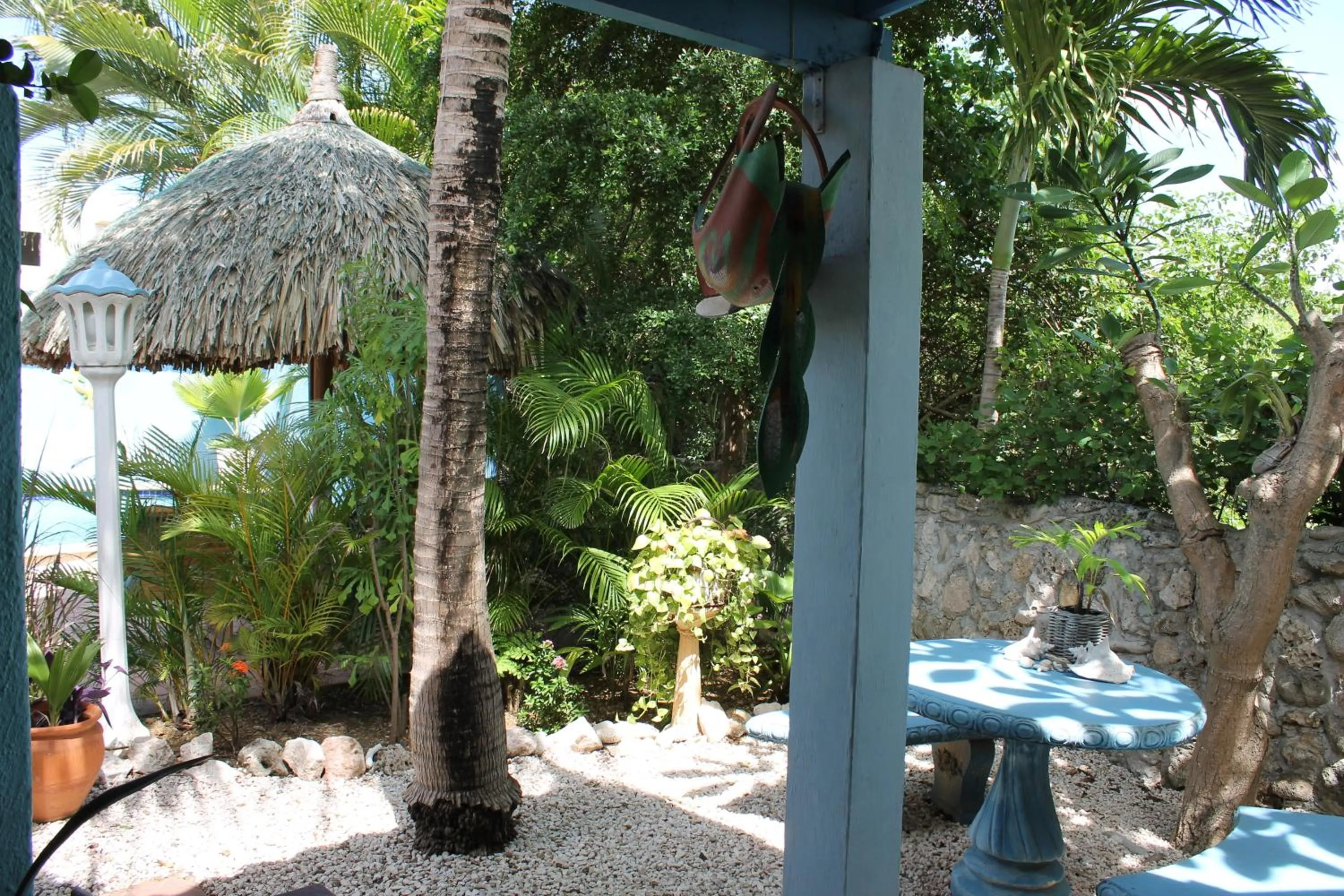 Garden view in Caribbean Flower Apartments