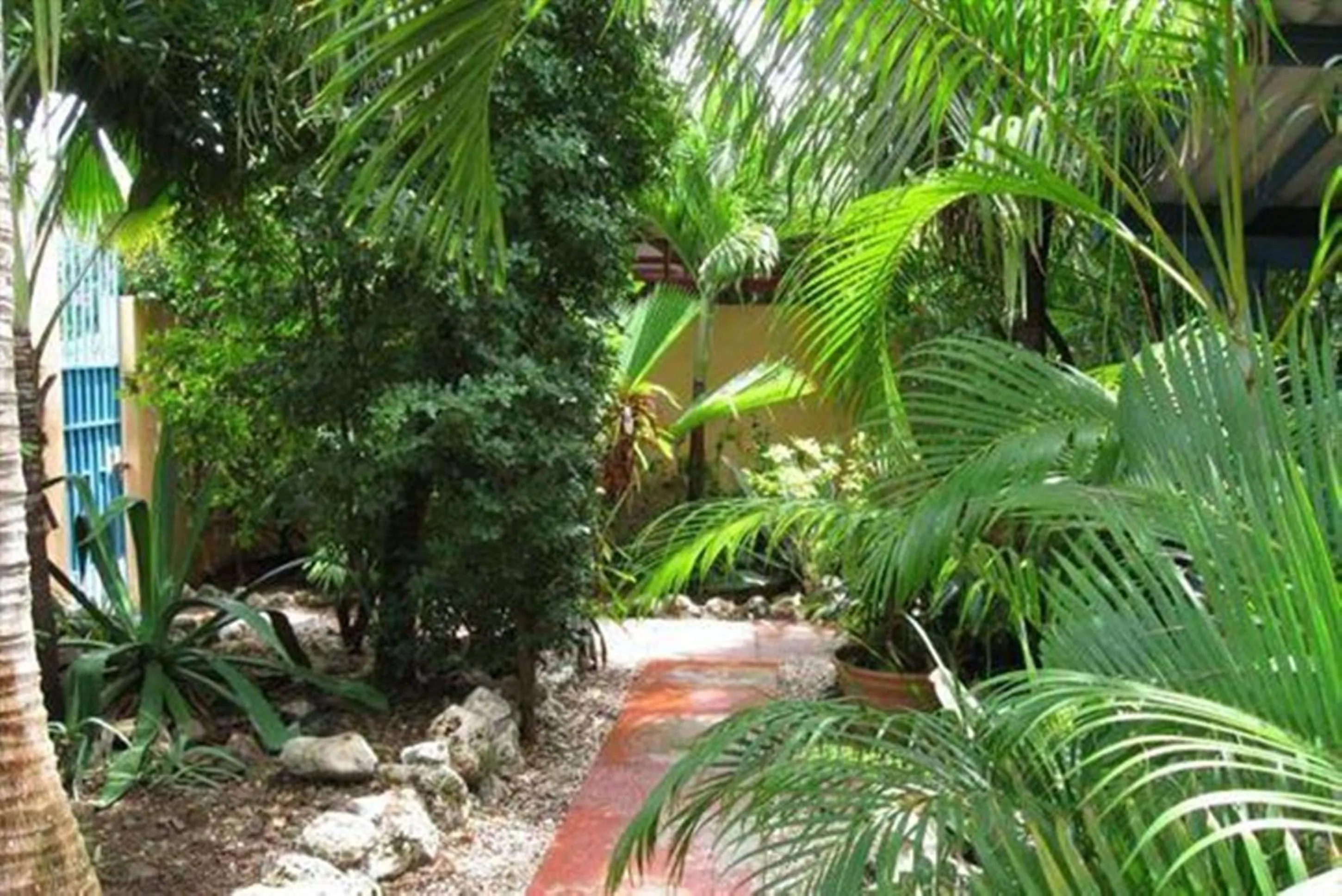Garden view in Caribbean Flower Apartments