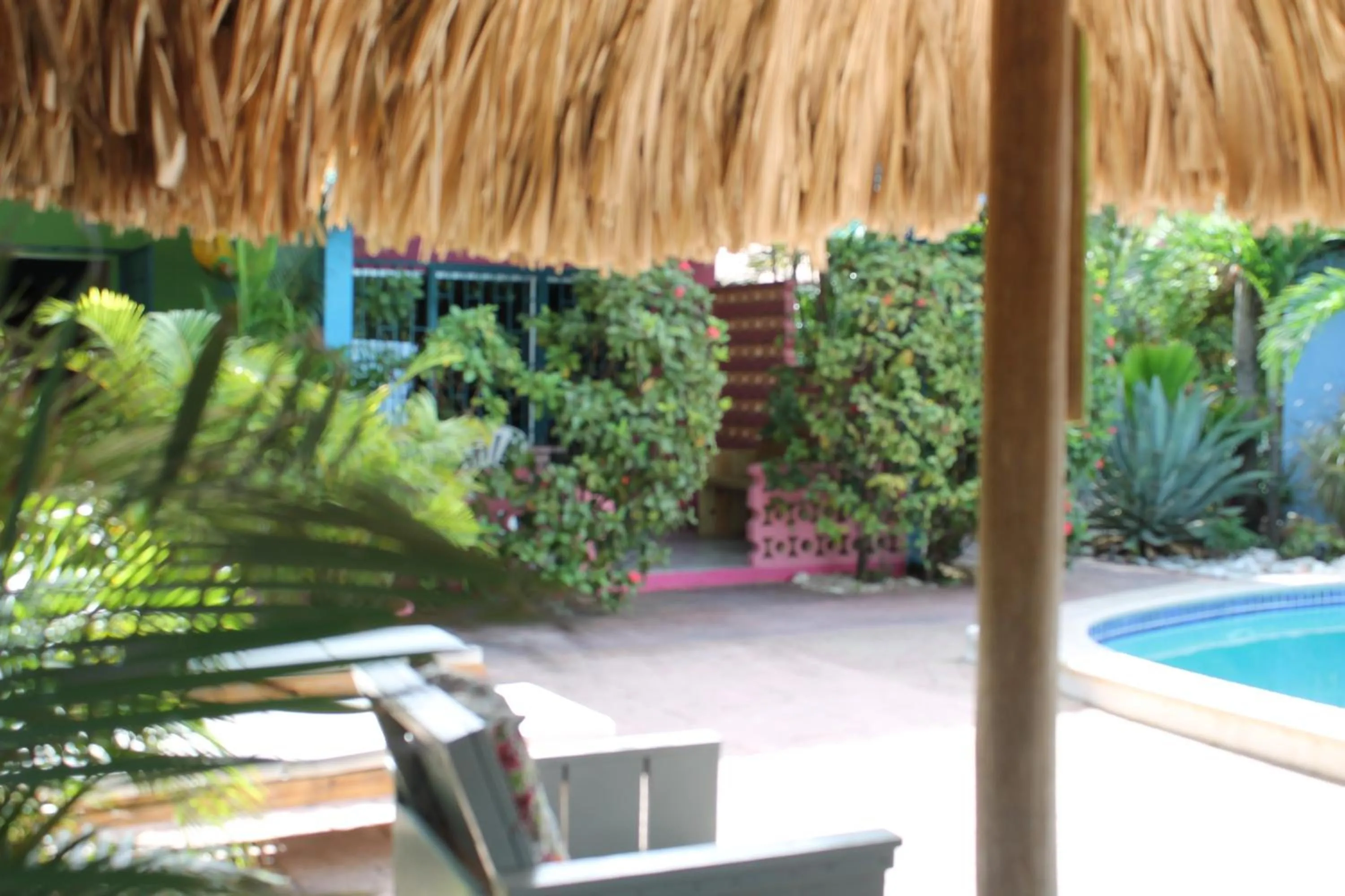 Pool view in Caribbean Flower Apartments