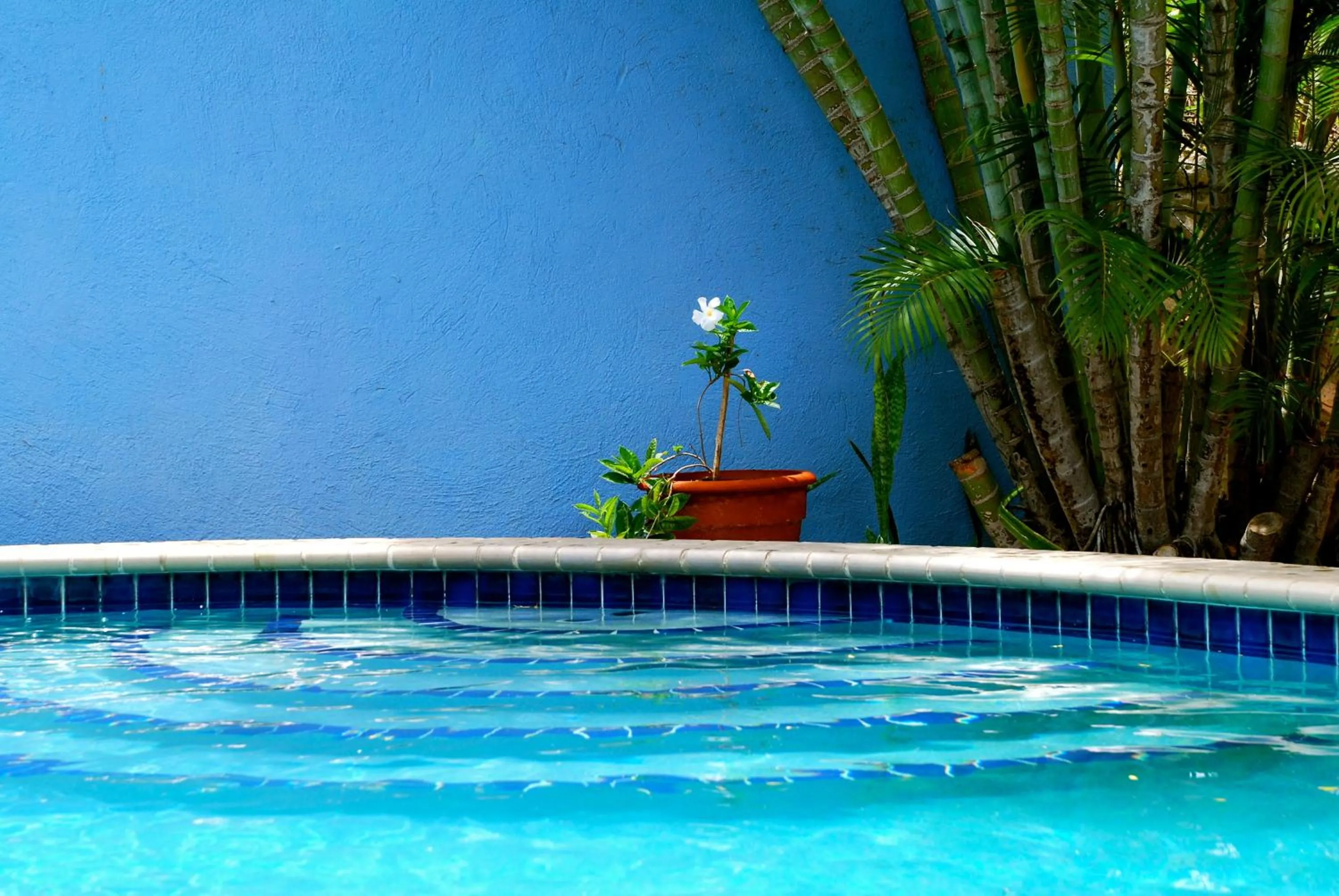 Pool view in Caribbean Flower Apartments