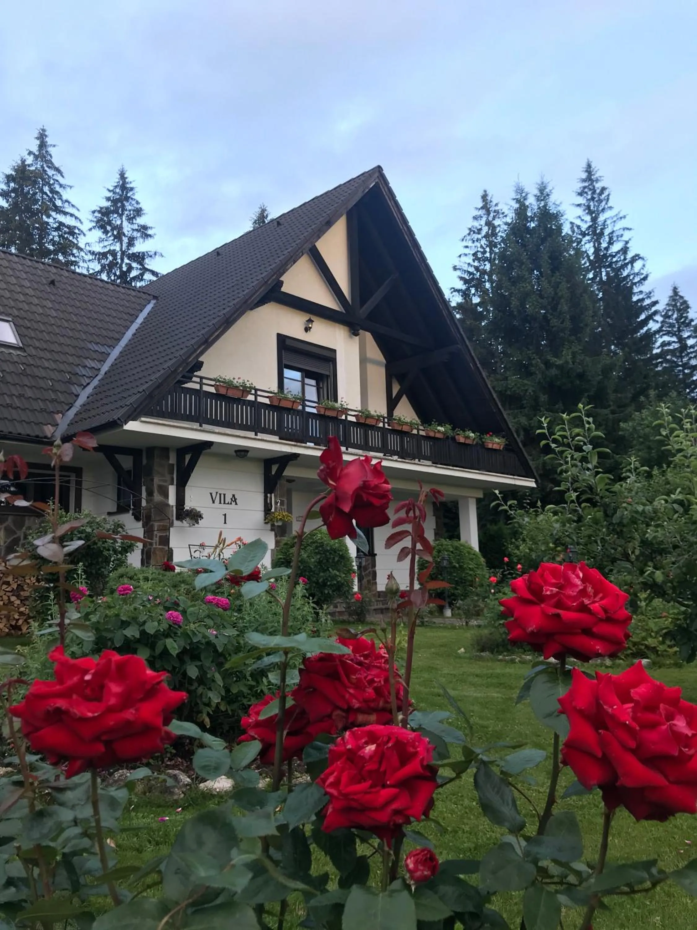 Complex Vile- Milana M Residence