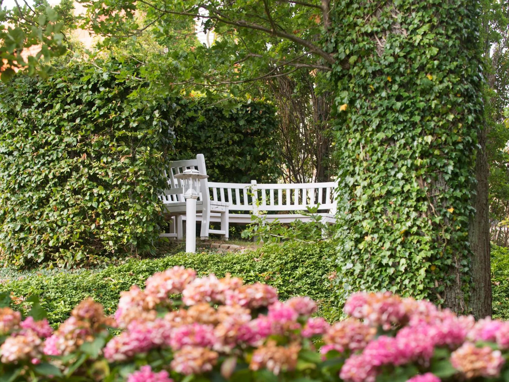 Garden in aja Nordperd & Villen Göhren