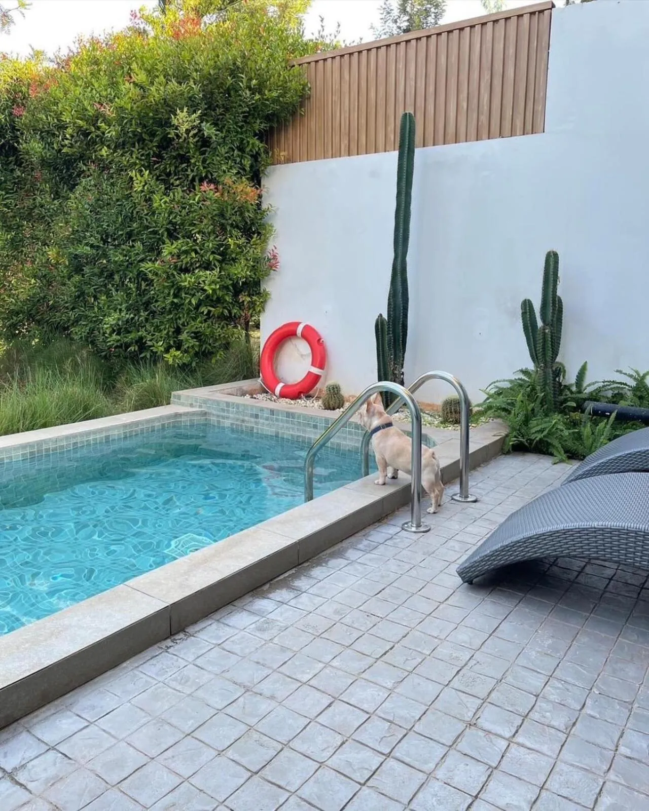 Day in The X10 private pool villa khaoyai SHA Certified เขาใหญ่