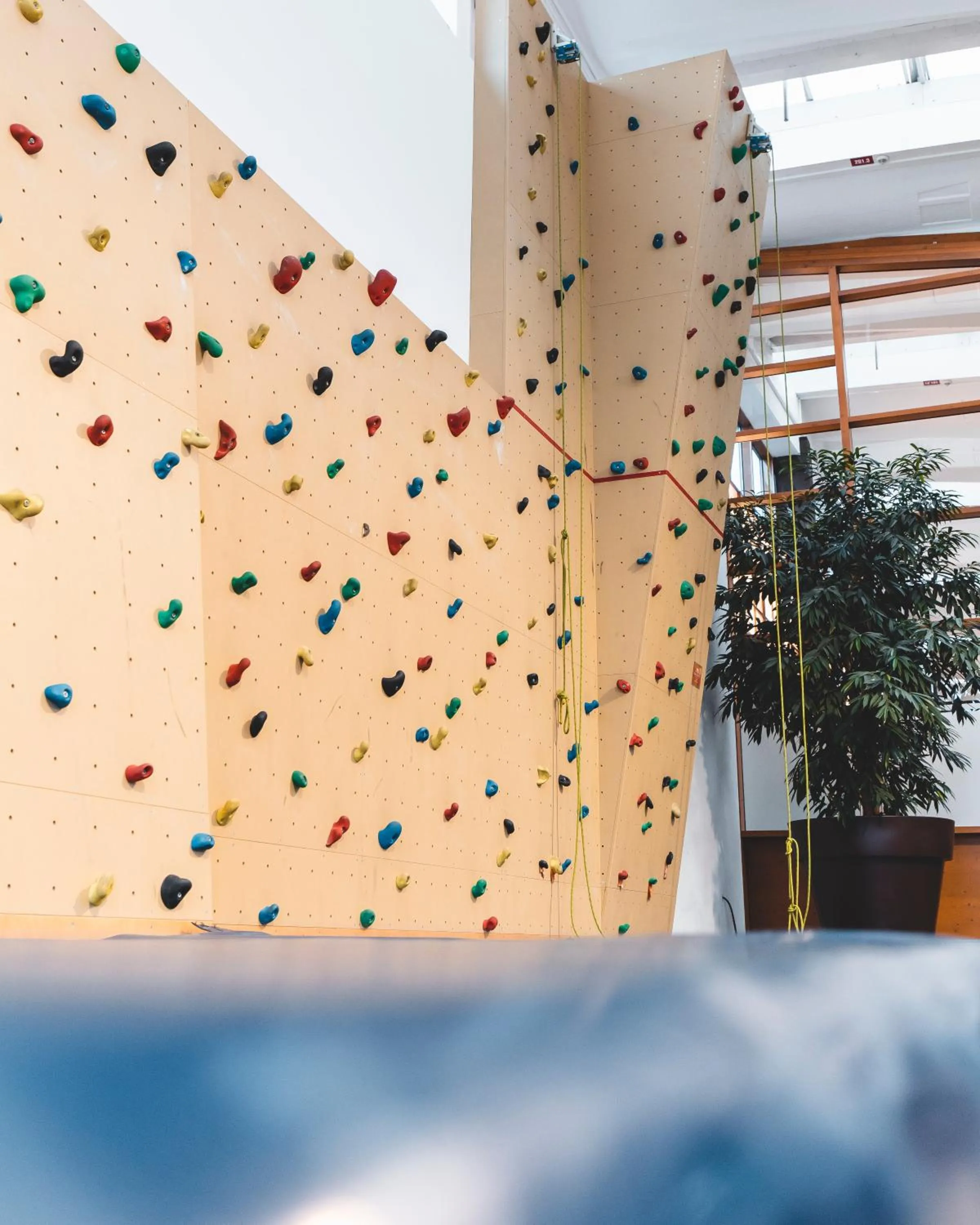 Activities in Resort Hotel IV Jahreszeiten Zingst