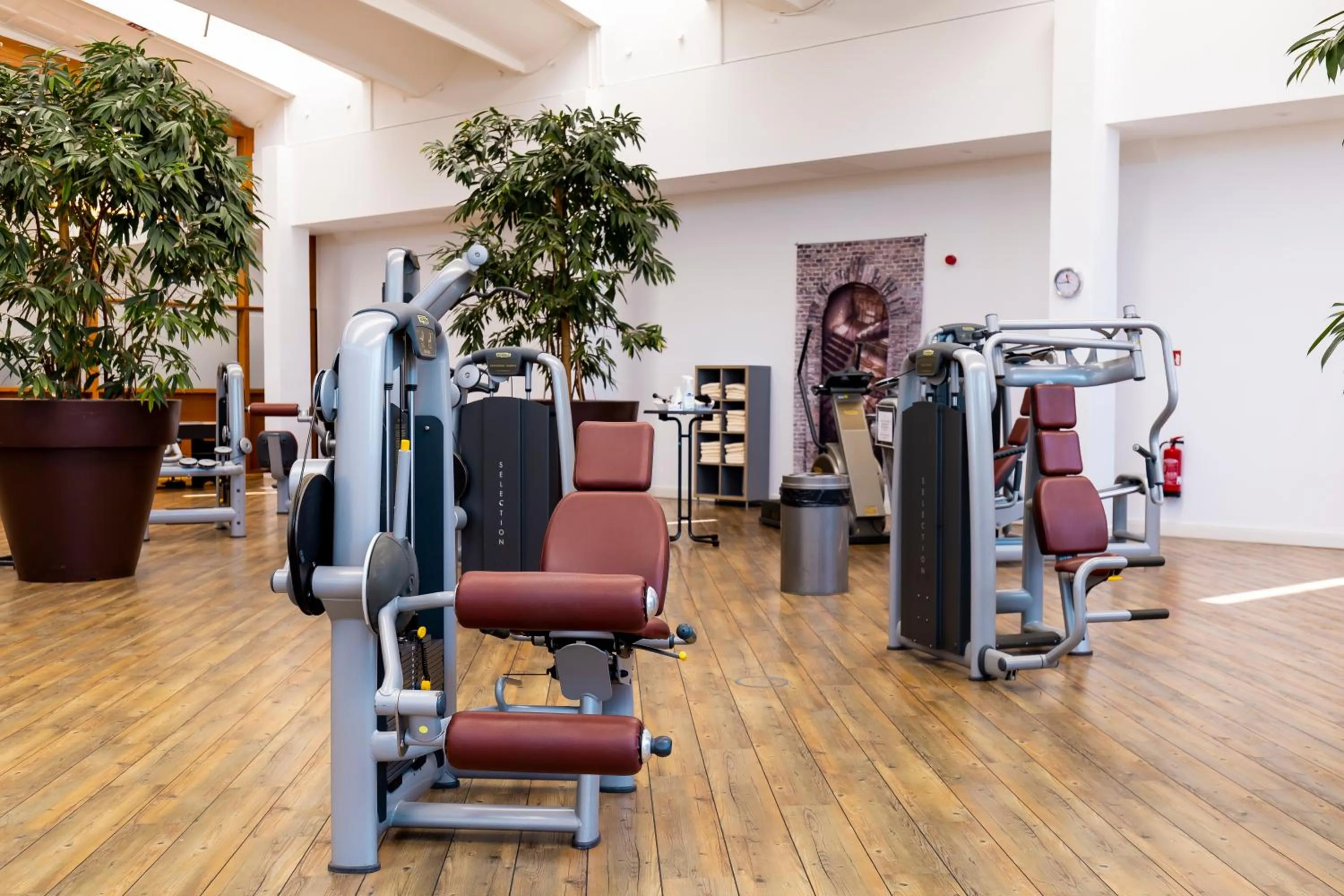 Fitness centre/facilities in Resort Hotel IV Jahreszeiten Zingst