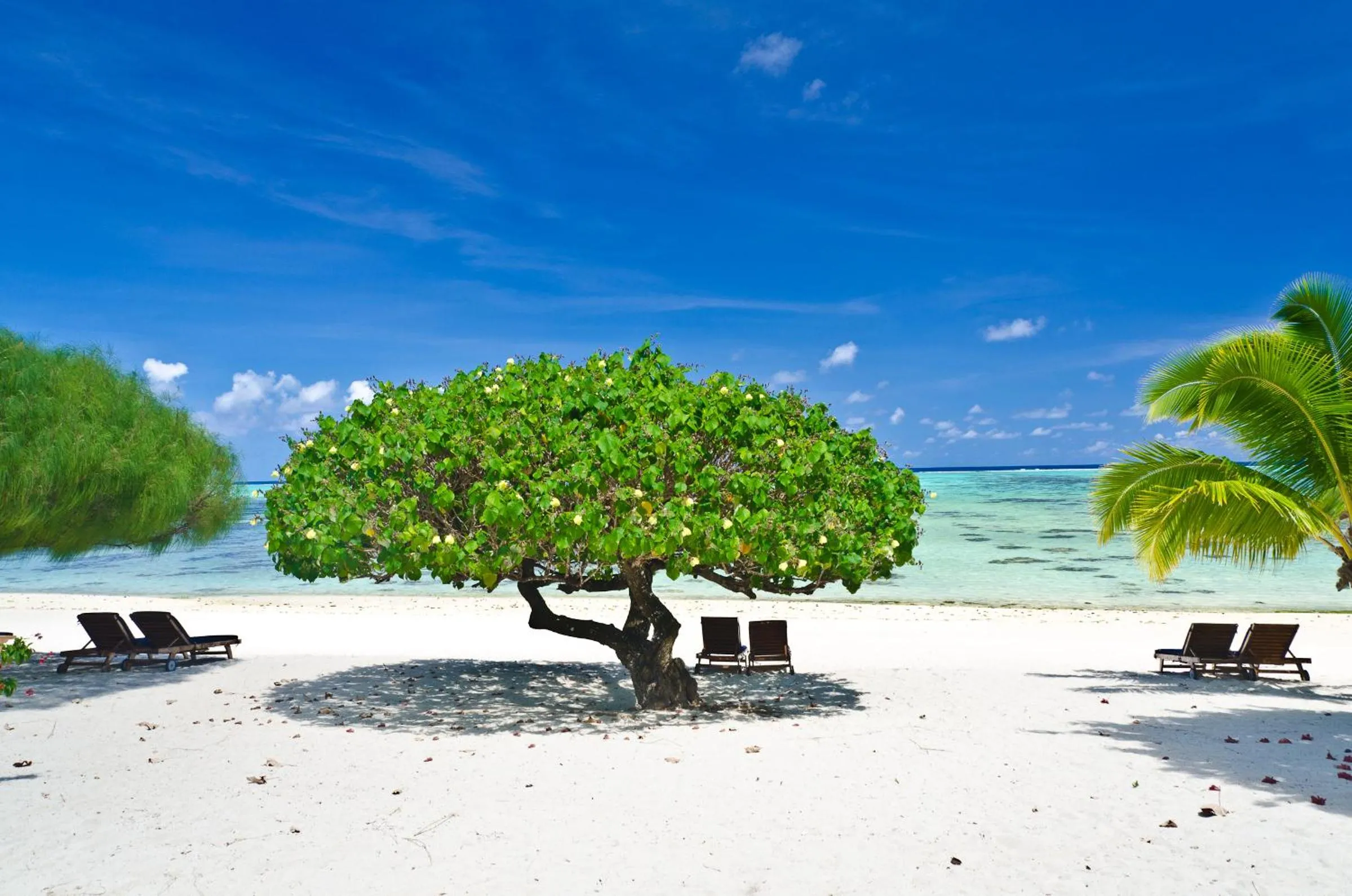 Etu Moana Boutique Beach Villas - Adults Only