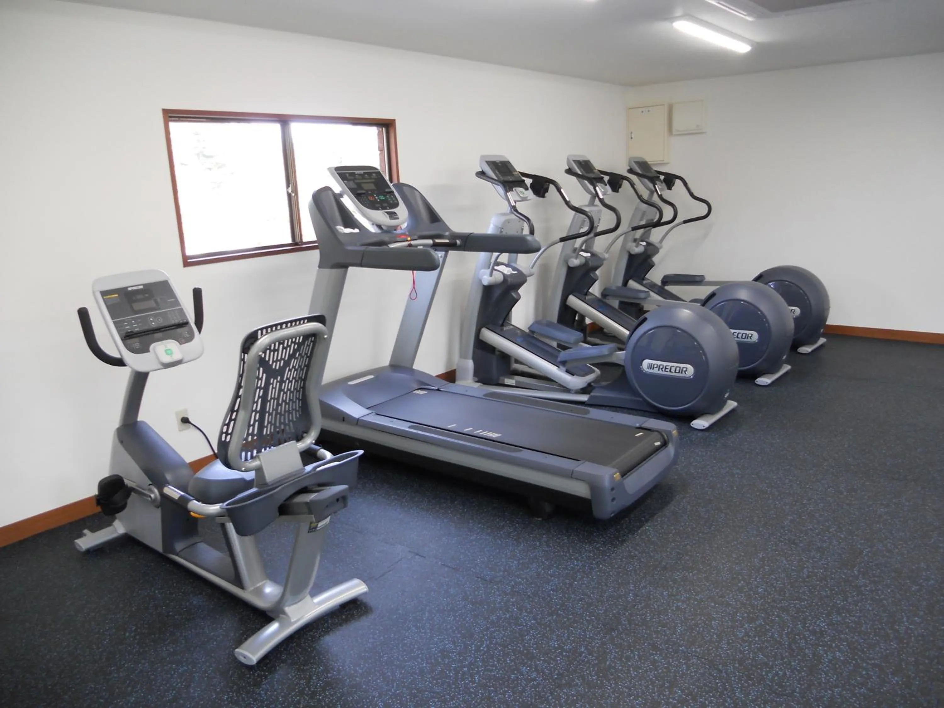 Fitness centre/facilities in The Prince Karuizawa