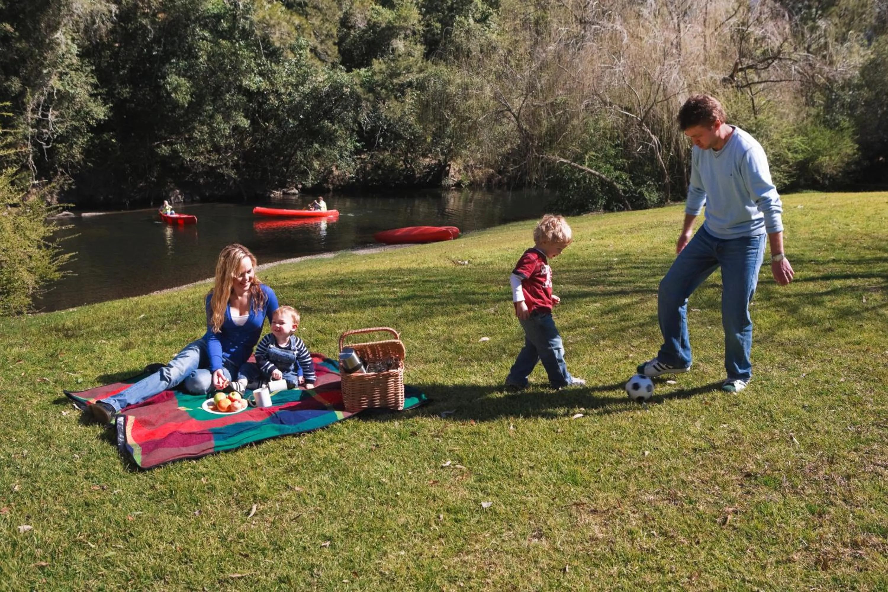 Riverwood Downs Of Barrington Tops