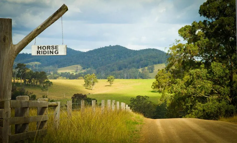 Riverwood Downs Of Barrington Tops