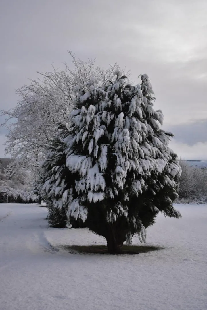 Property building in Ticketyboo Suites