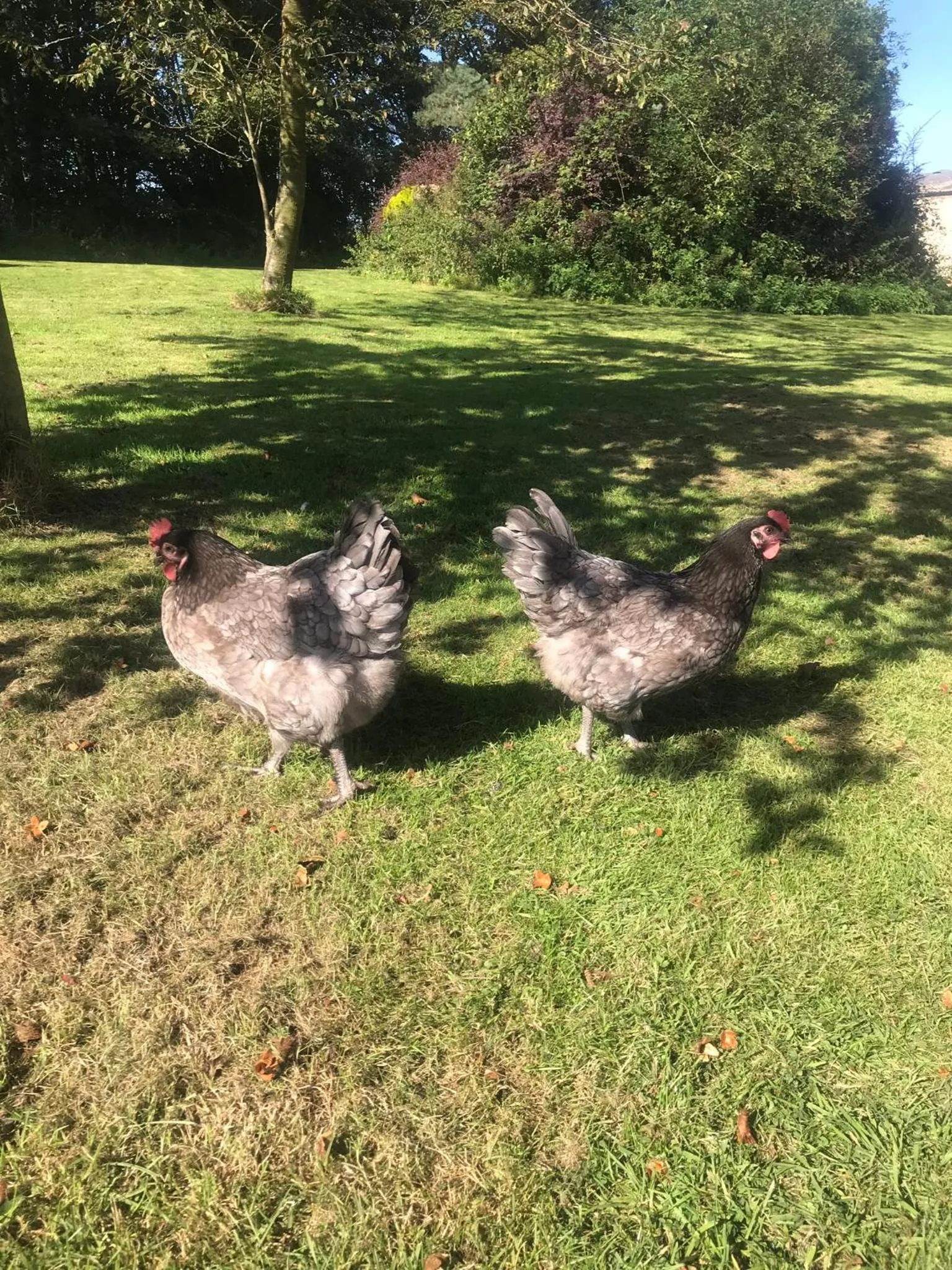 Property building in Ticketyboo Suites