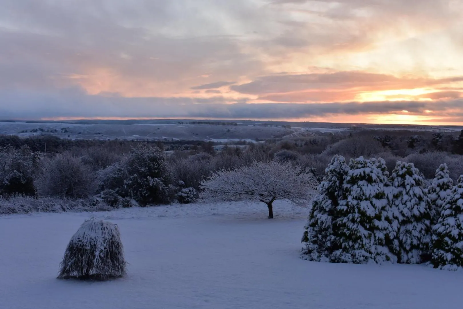 Property building in Ticketyboo Suites