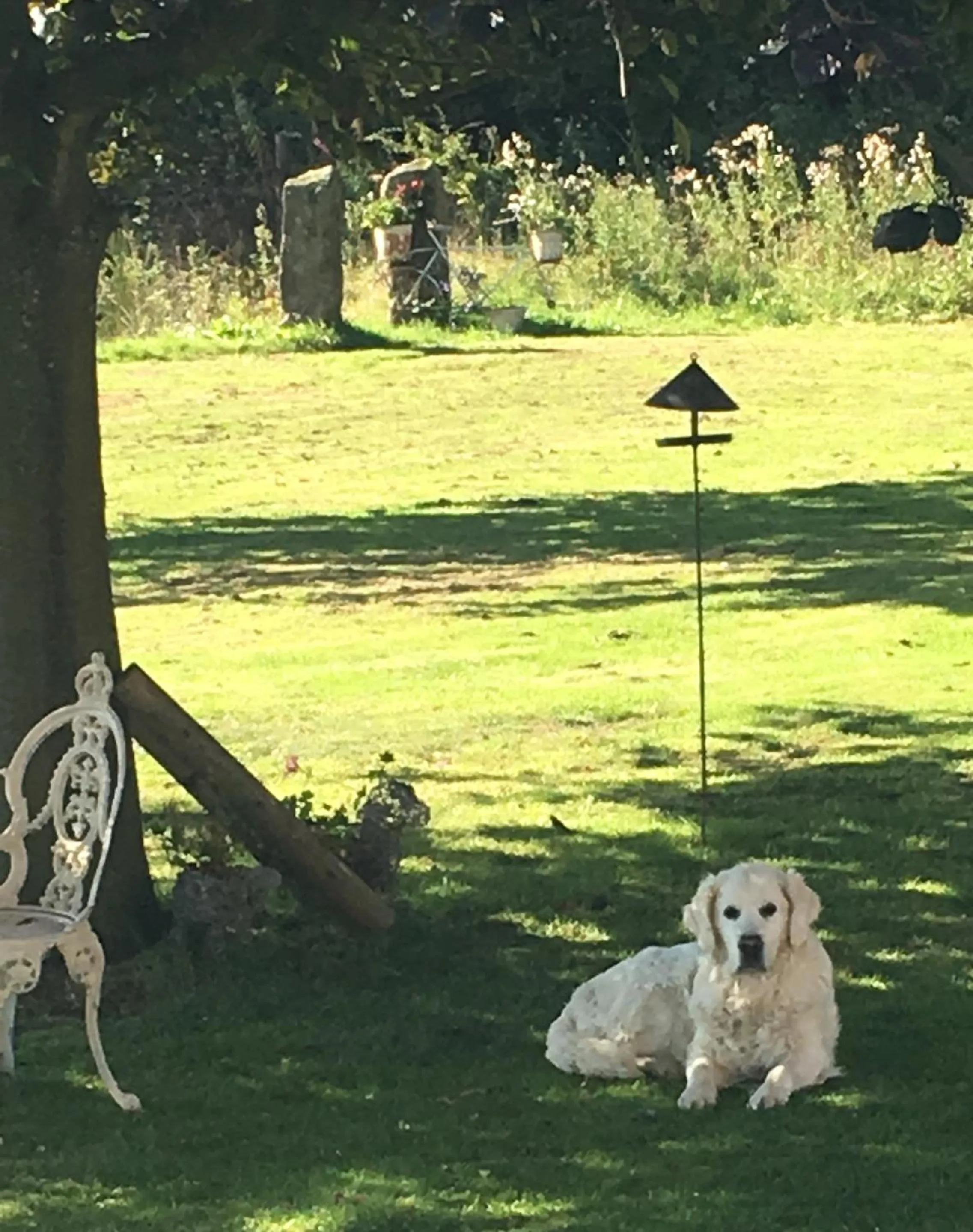 Property building in Ticketyboo Suites