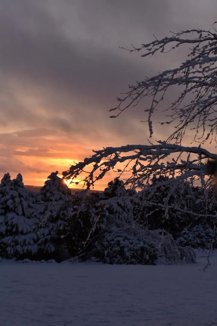 Property building in Ticketyboo Suites