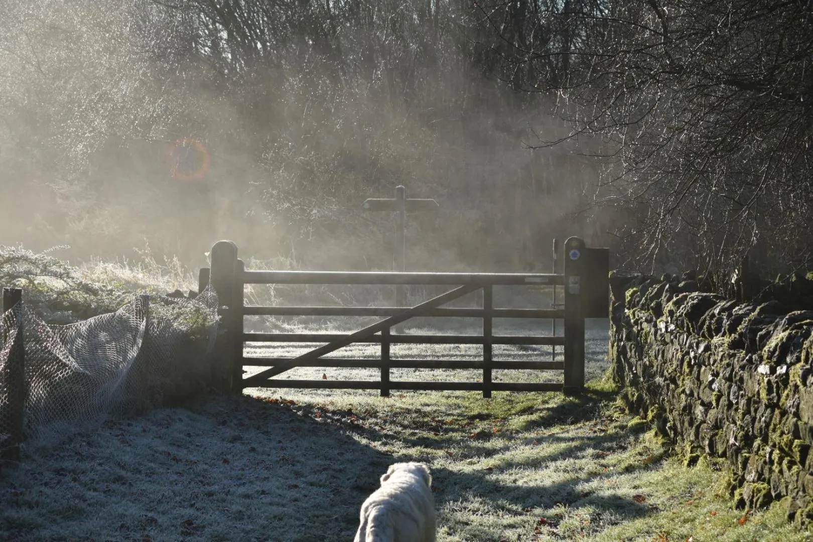 Neighbourhood in Ticketyboo Suites