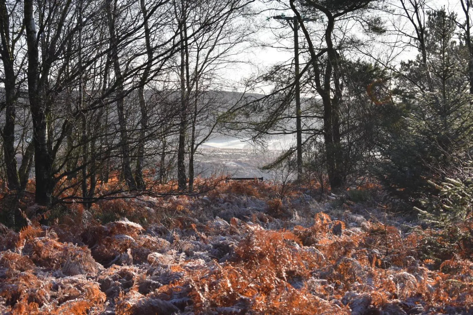 Neighbourhood in Ticketyboo Suites