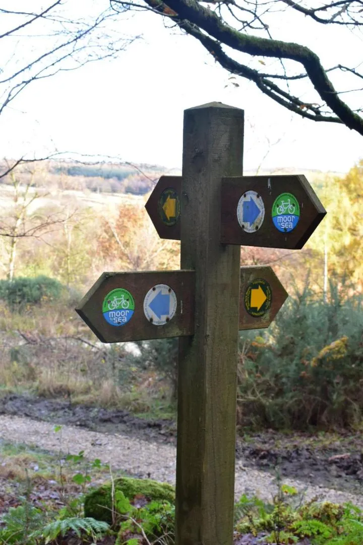 Hiking in Ticketyboo Suites