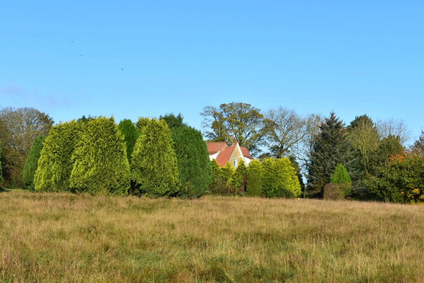 Property building in Ticketyboo Suites
