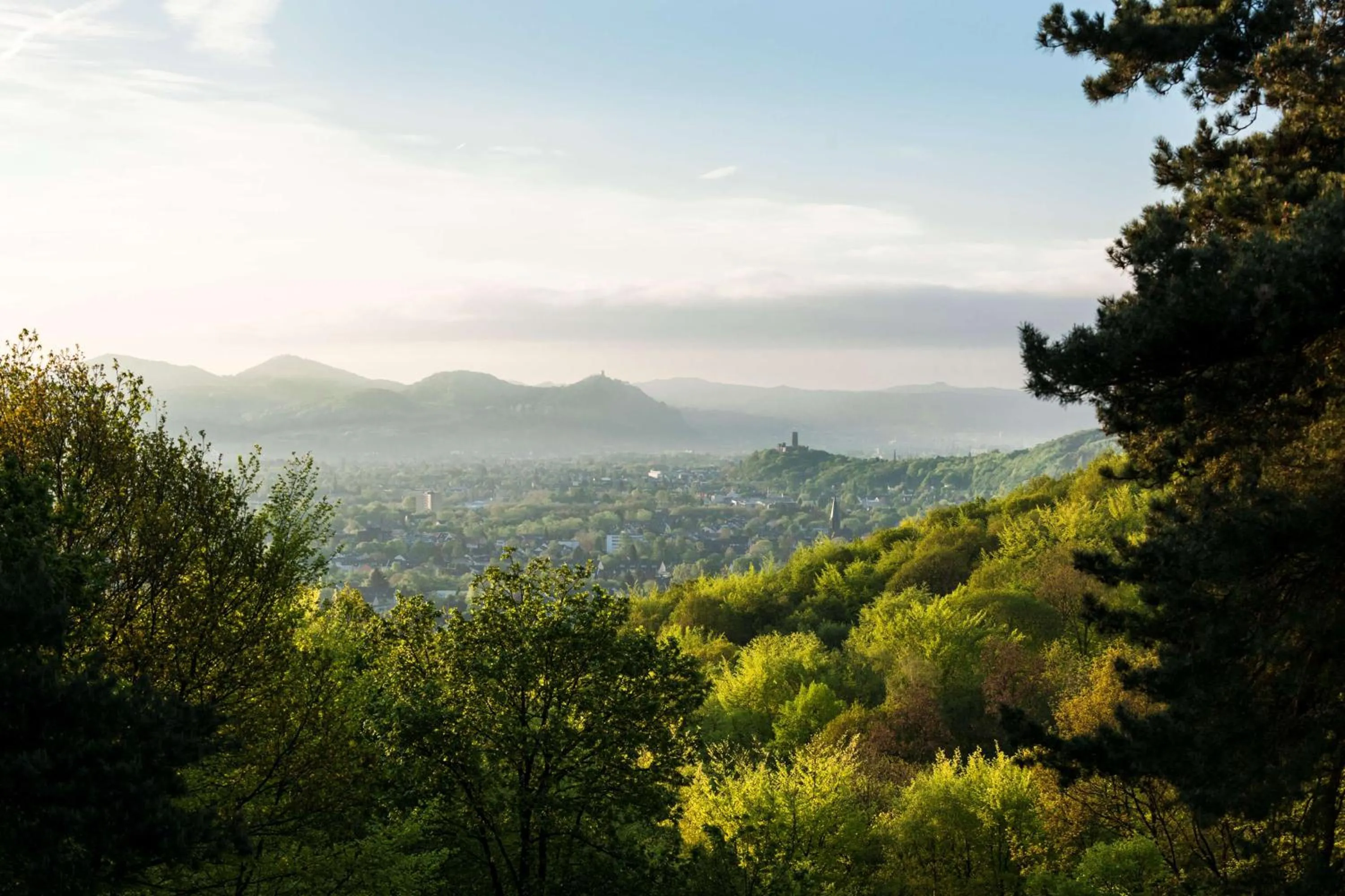 Other in Dorint Venusberg Bonn