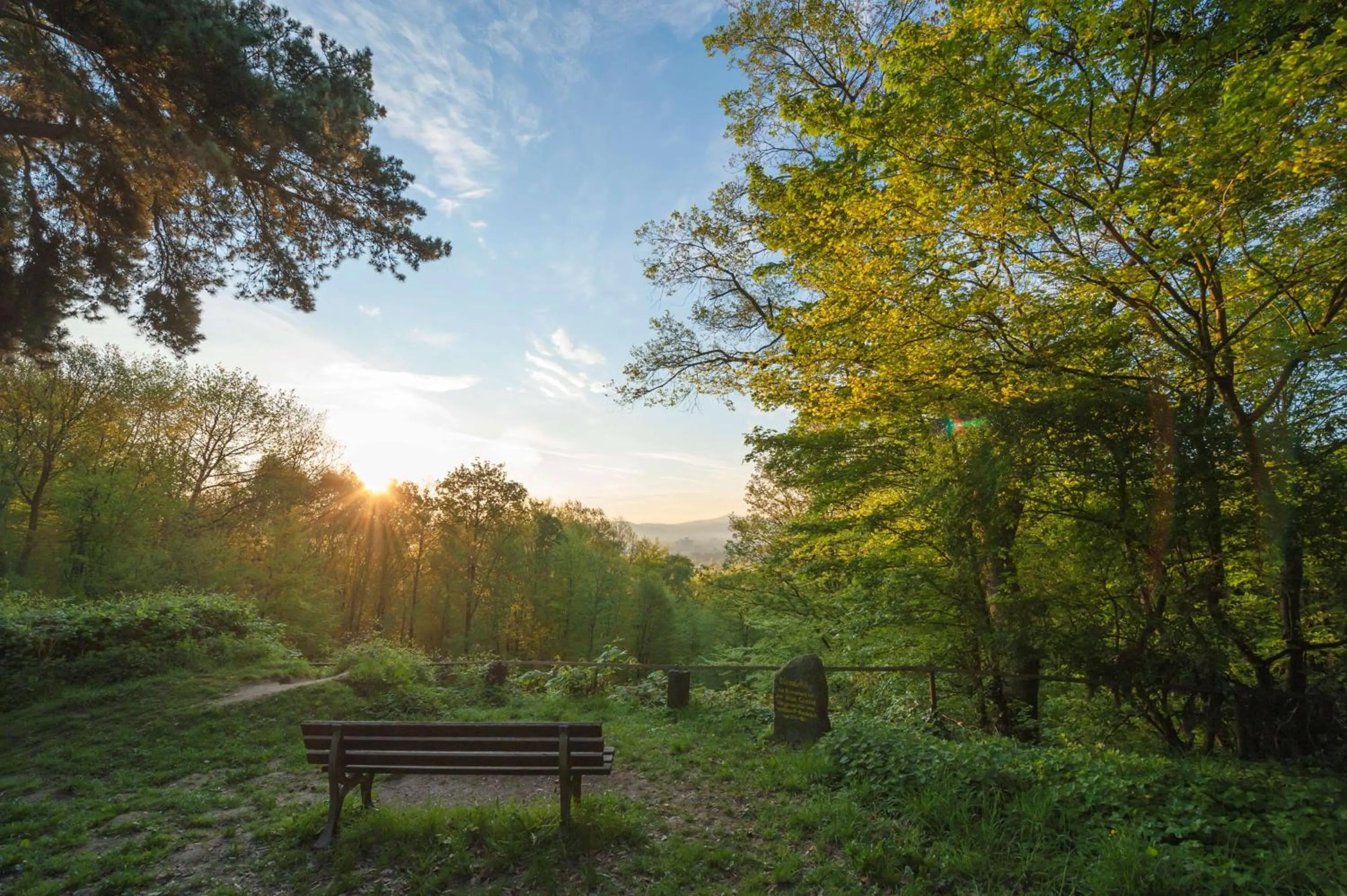 Other in Dorint Venusberg Bonn