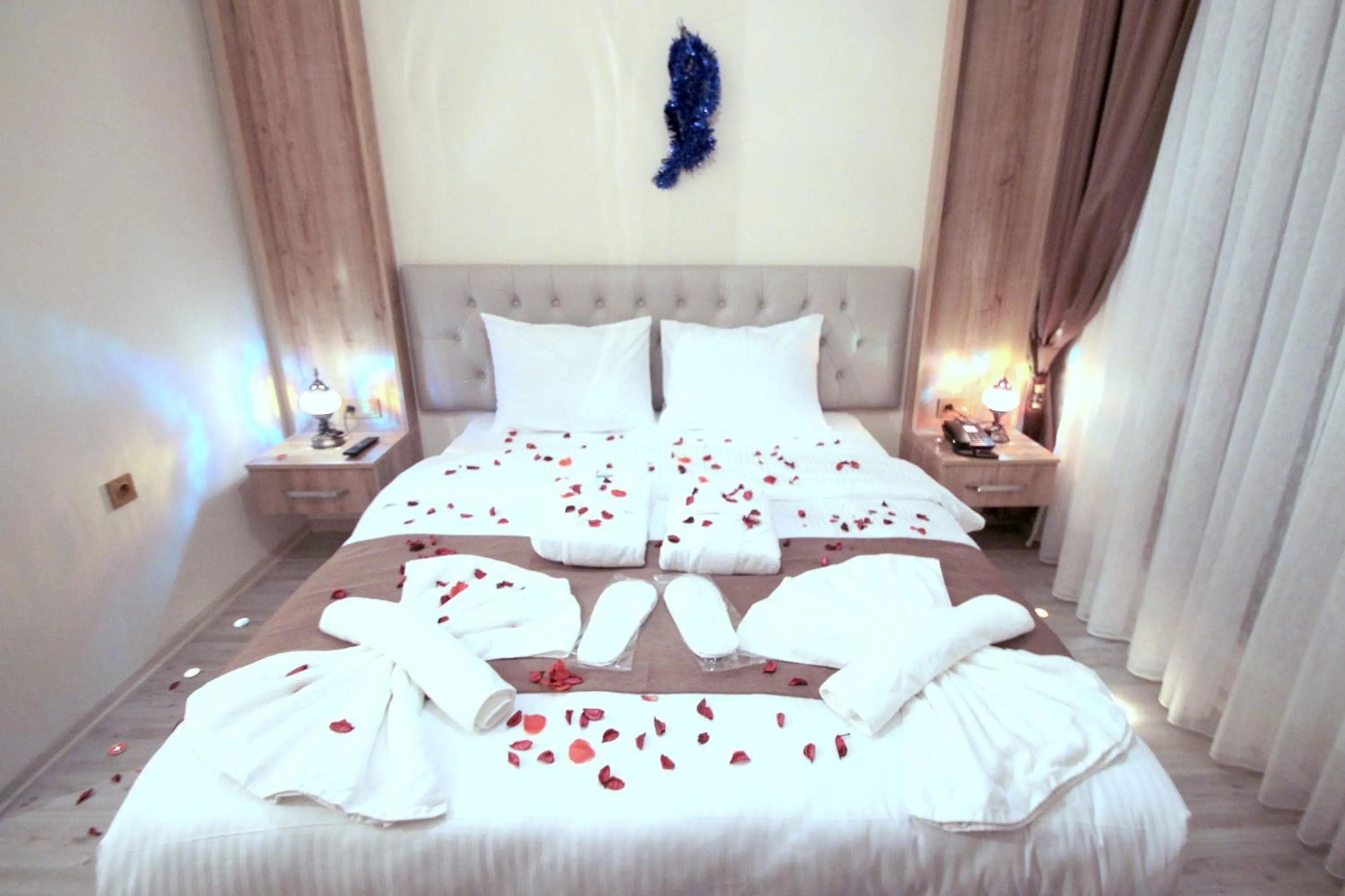 Photo of the whole room in Butterfly Butik Hotel