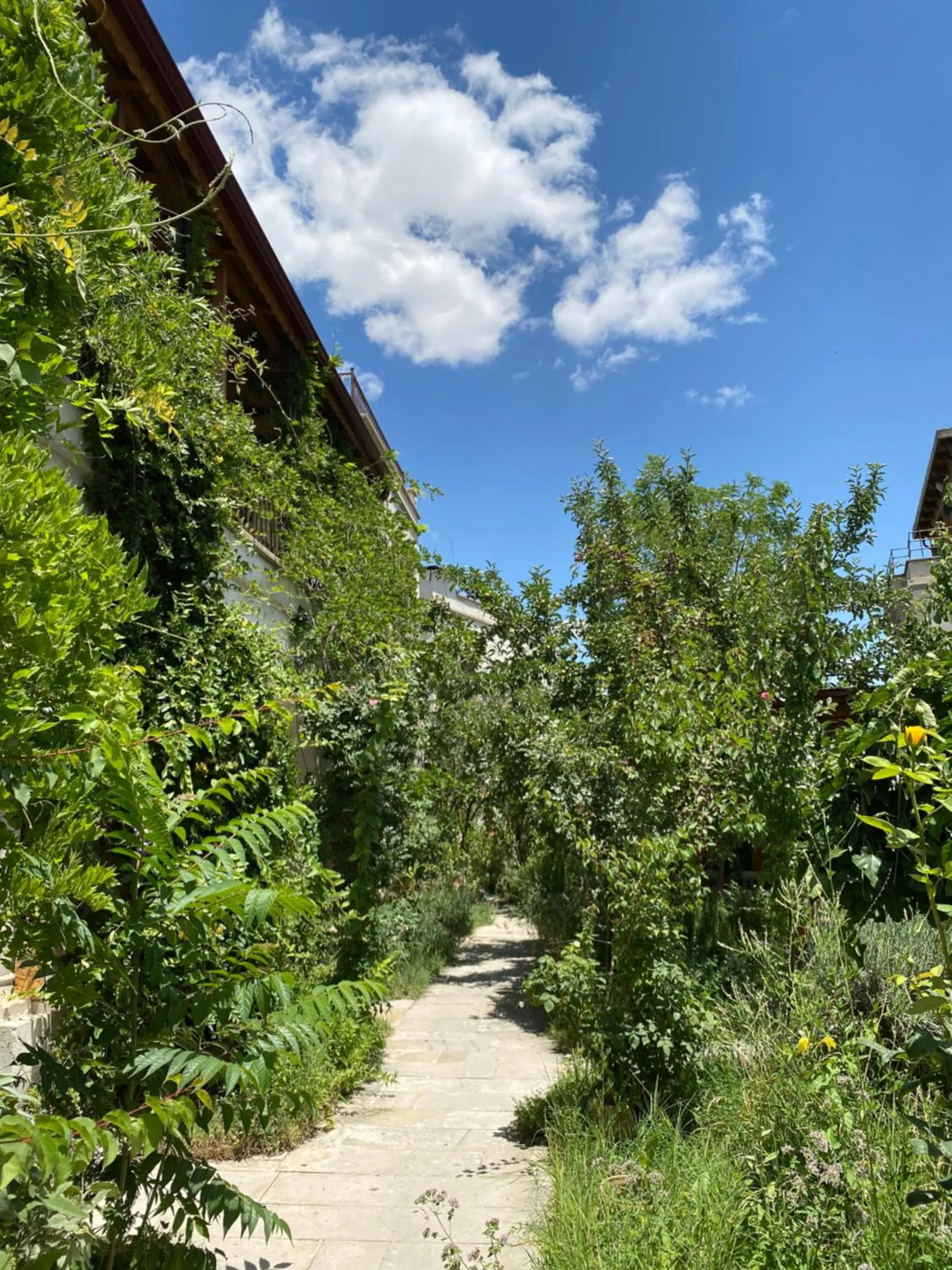 Spring in Kemal's Guest House