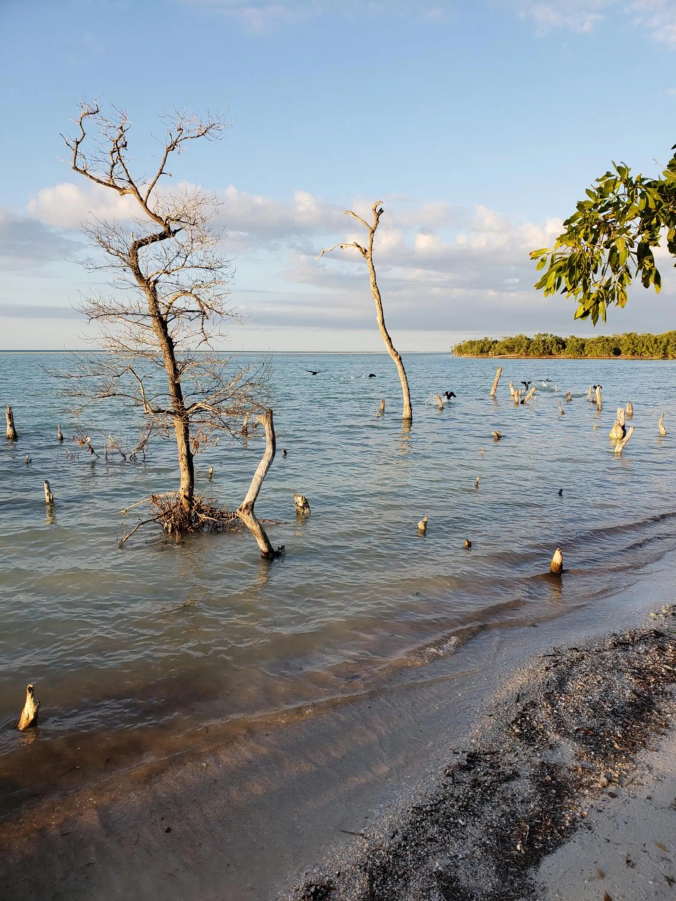 Casa Hridaya Hotel Boutique
