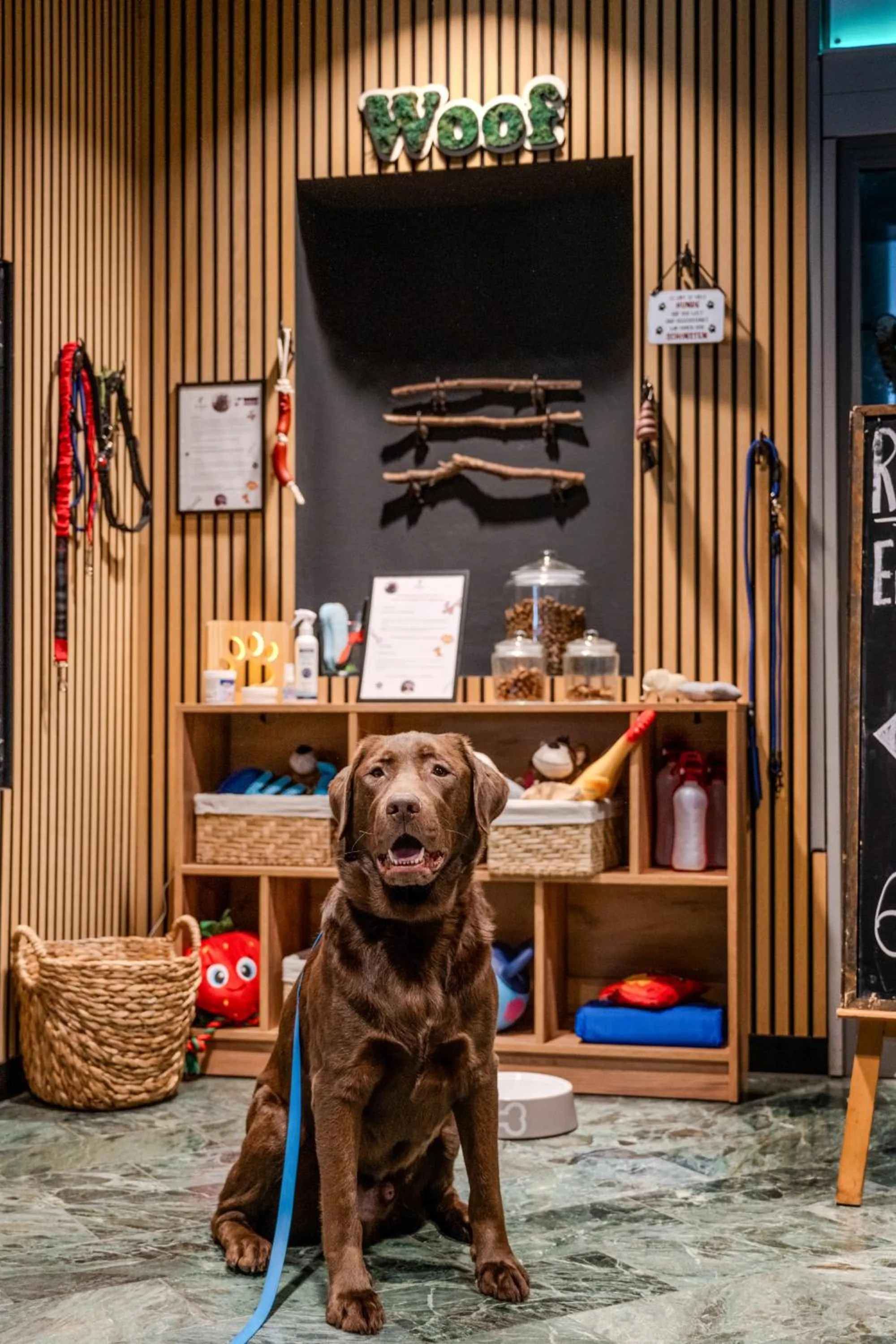 pet friendly in Holiday Inn Lübeck by IHG