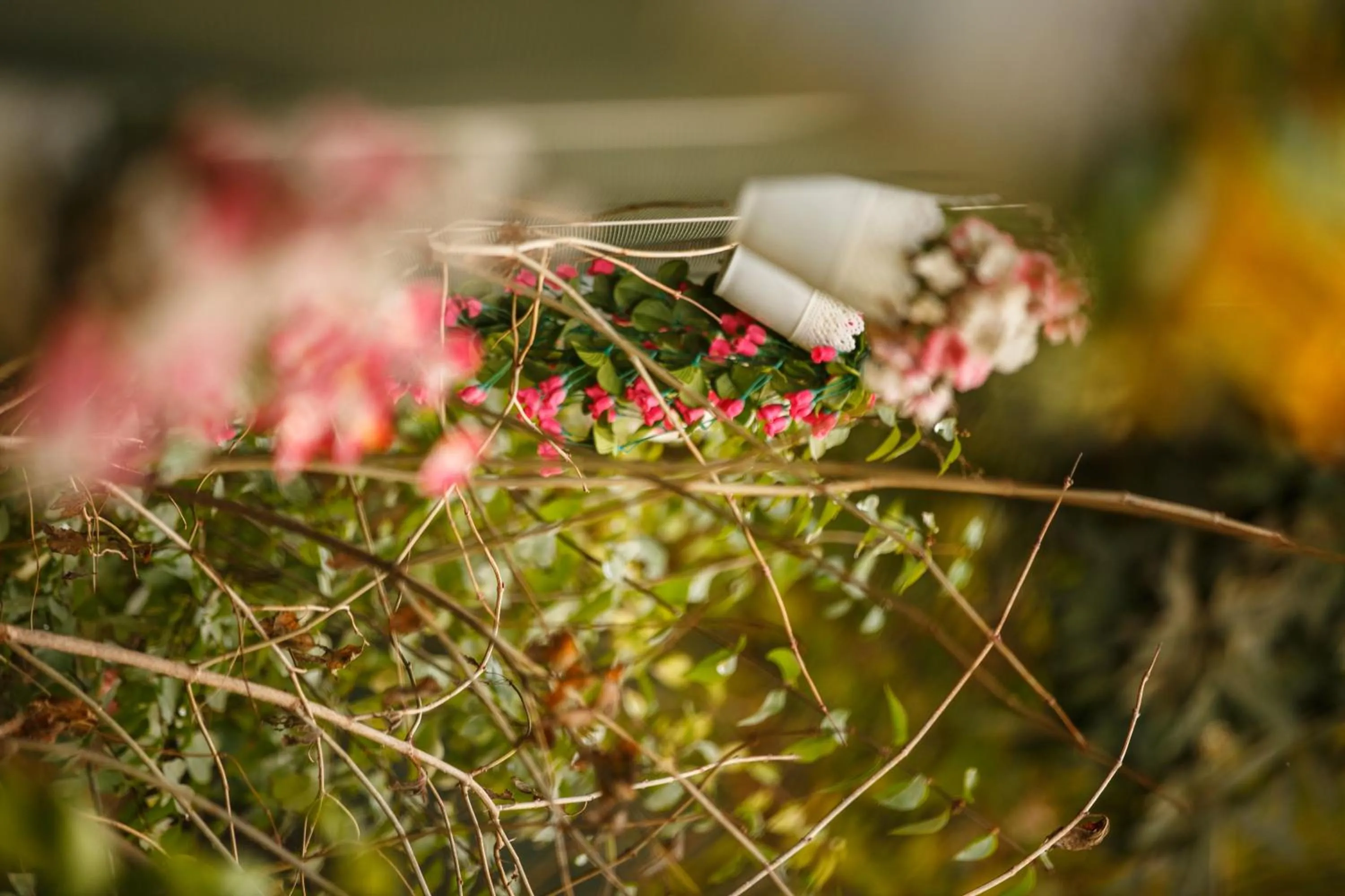 Garden in Hotel Cenka Ephesus