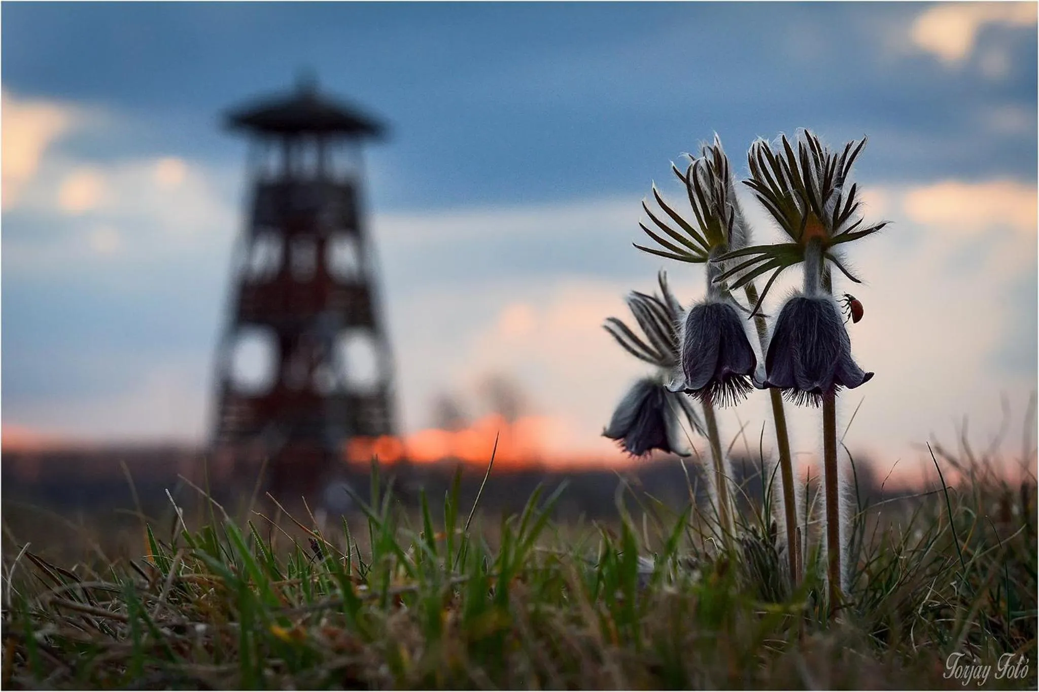 Hiking in Sztár Motel Étterem