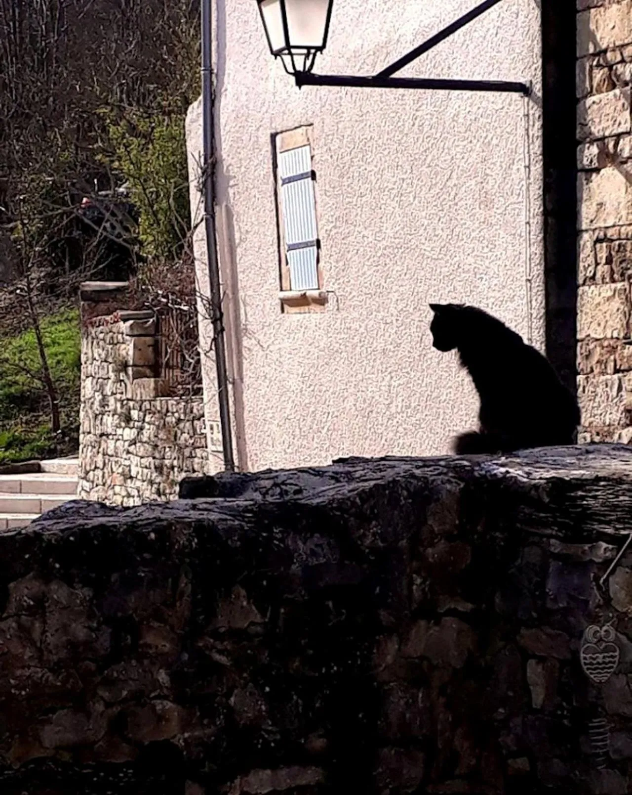 Pets in Le Petit Coin de Charme