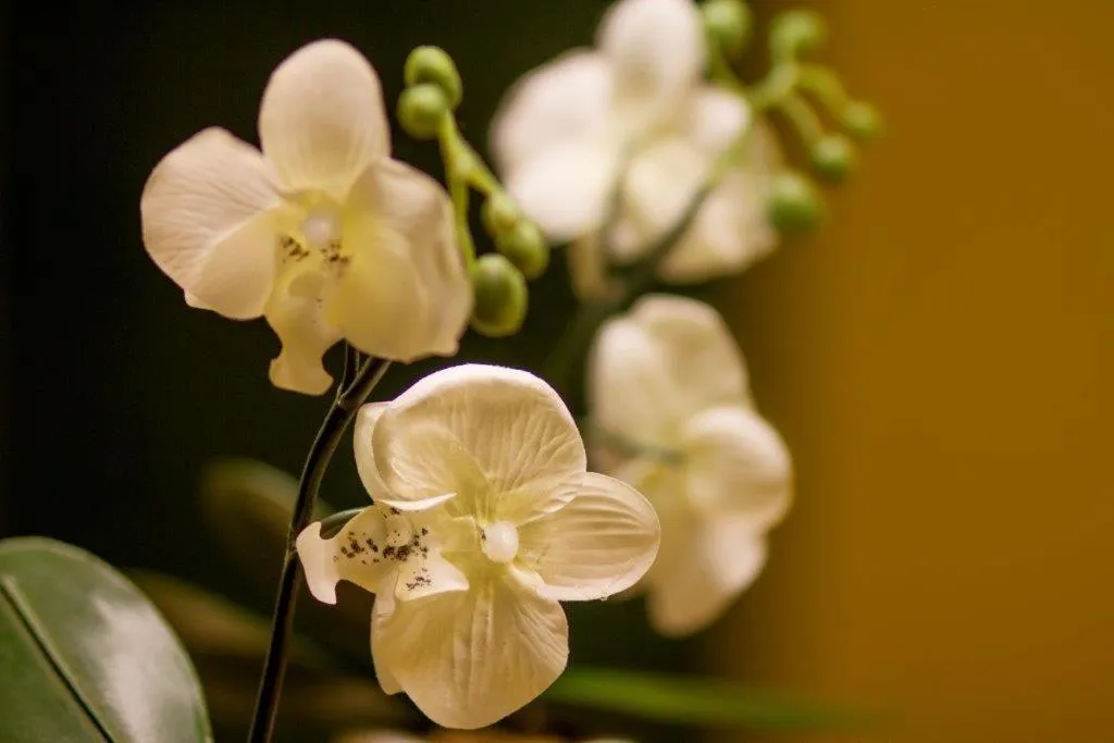 Decorative detail in Schurwald Hotel