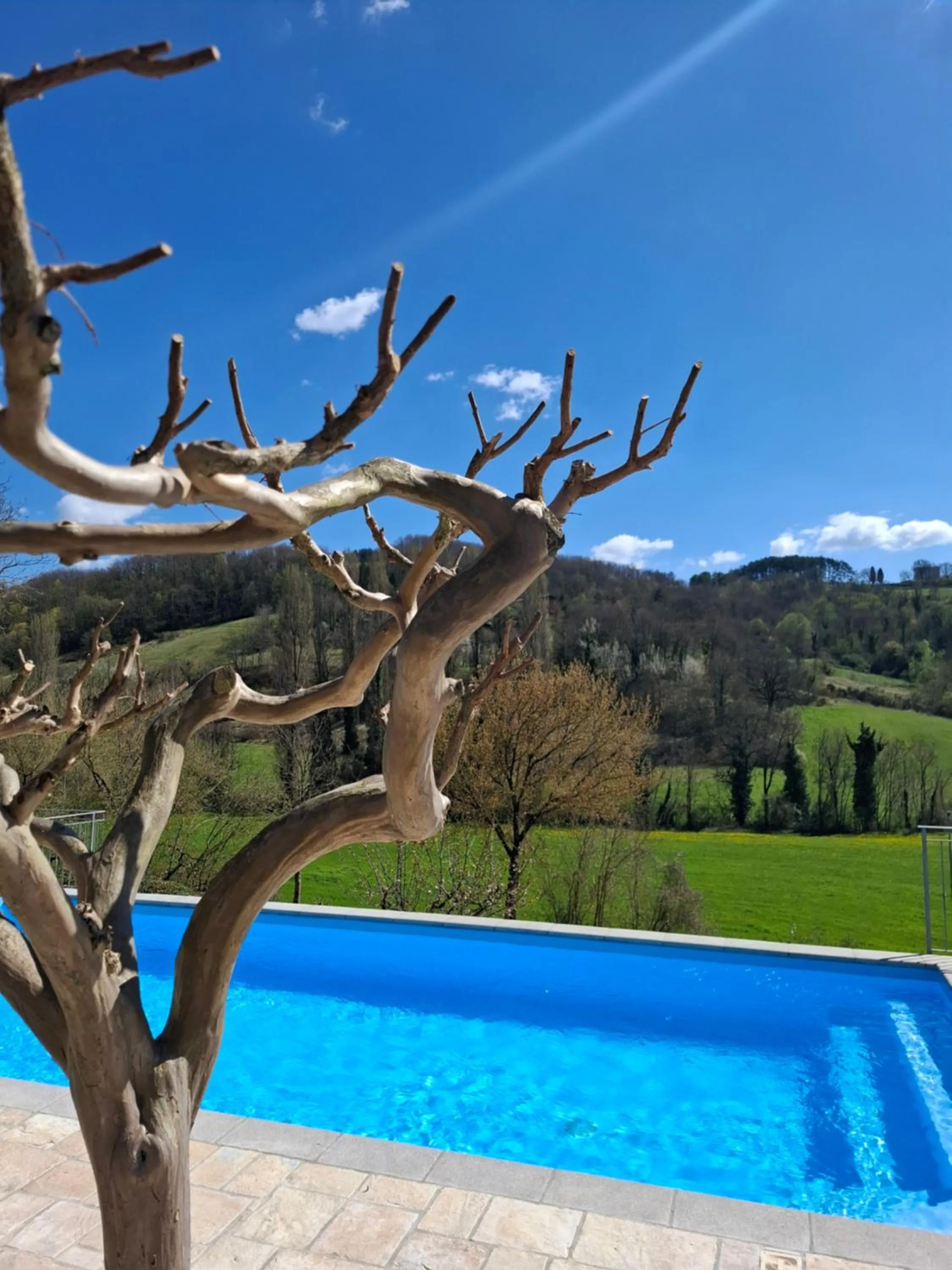 B&B VILLA GINEVRA