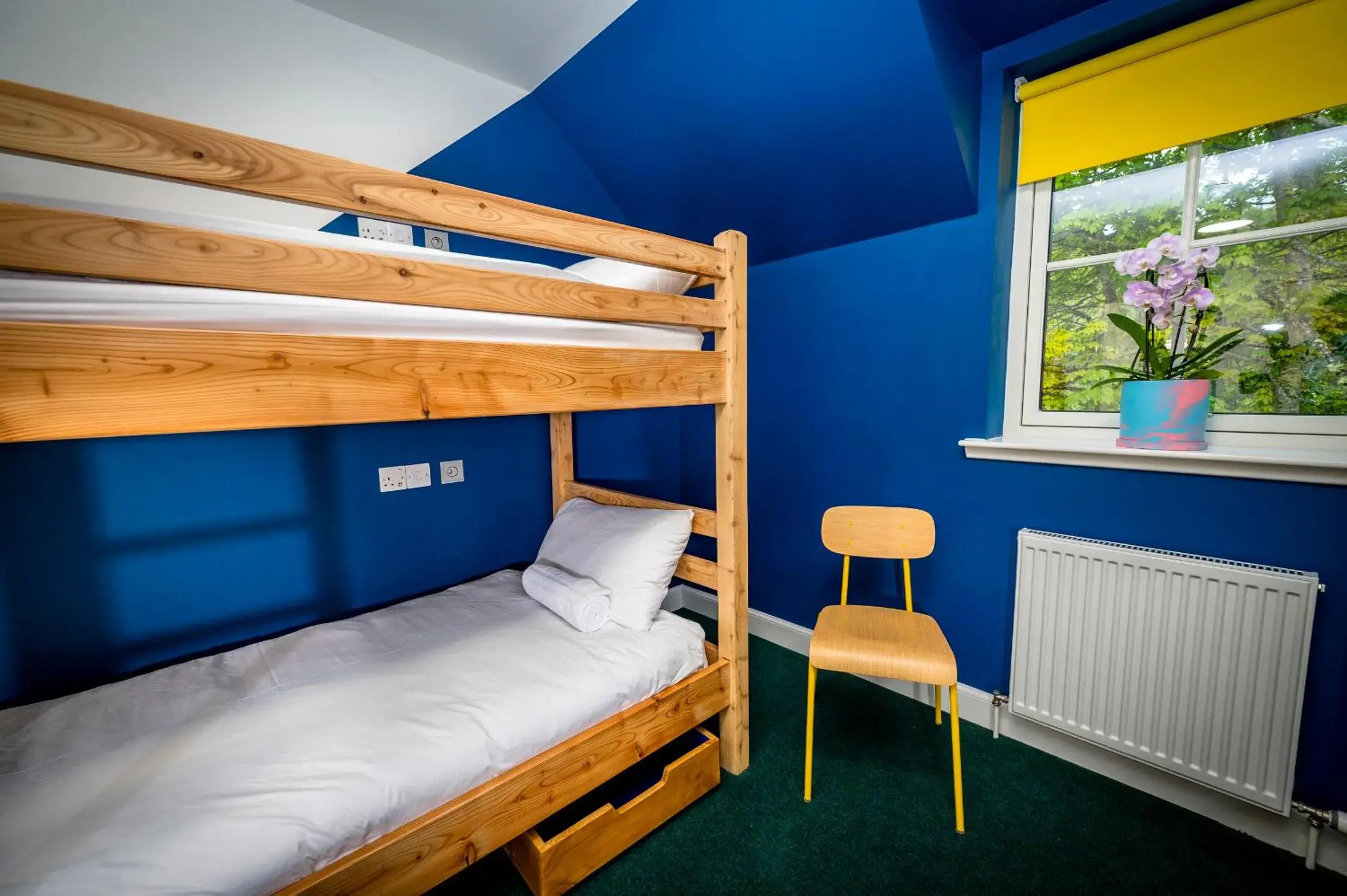 Bed in 4-Bed Male Dormitory Room in Loch Ness Bunk Inn Bed in 4-Bed Male Dormitory Room in Loch Ness Bunk Inn