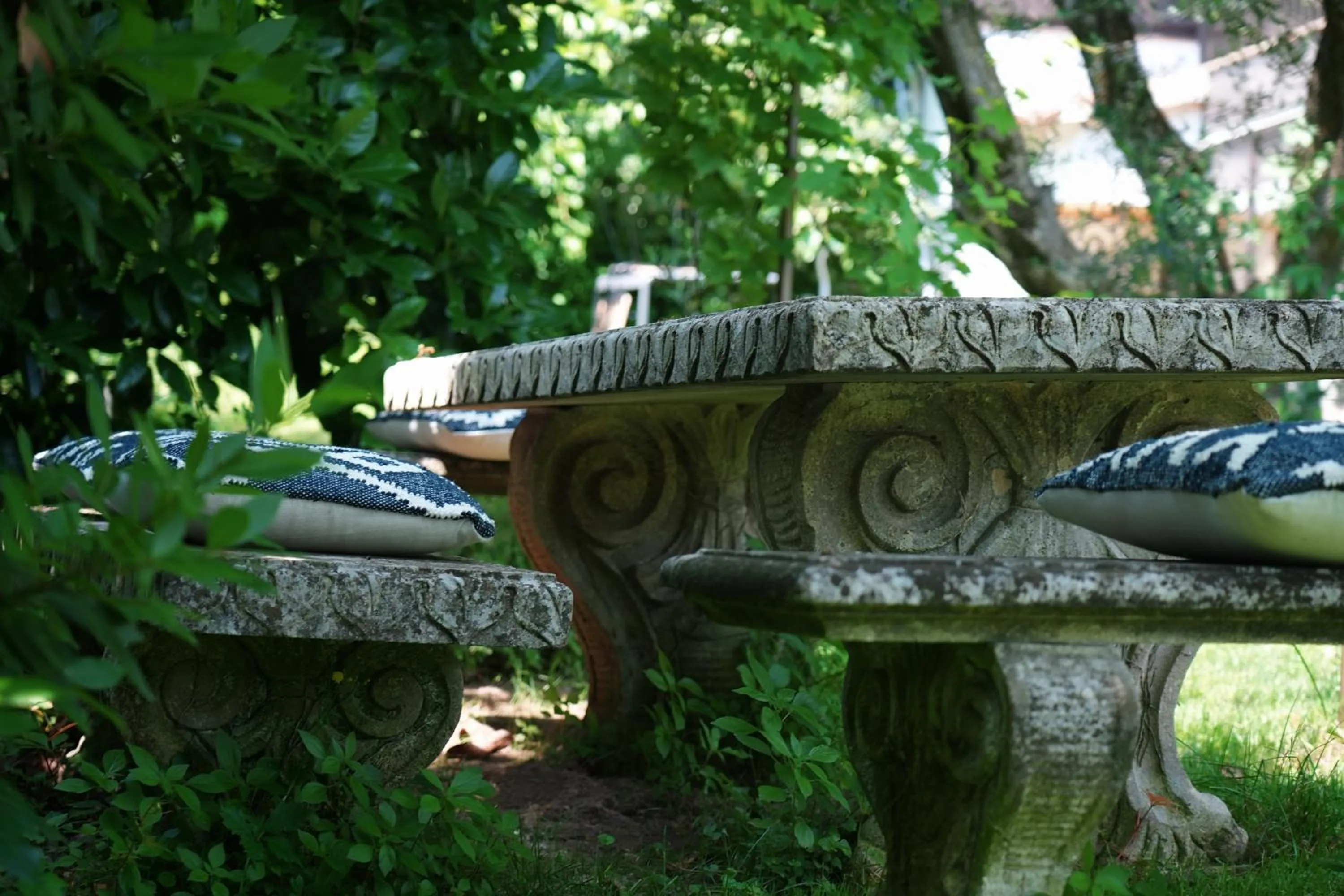 Garden in Relais Villa dei Gelsi & Spa