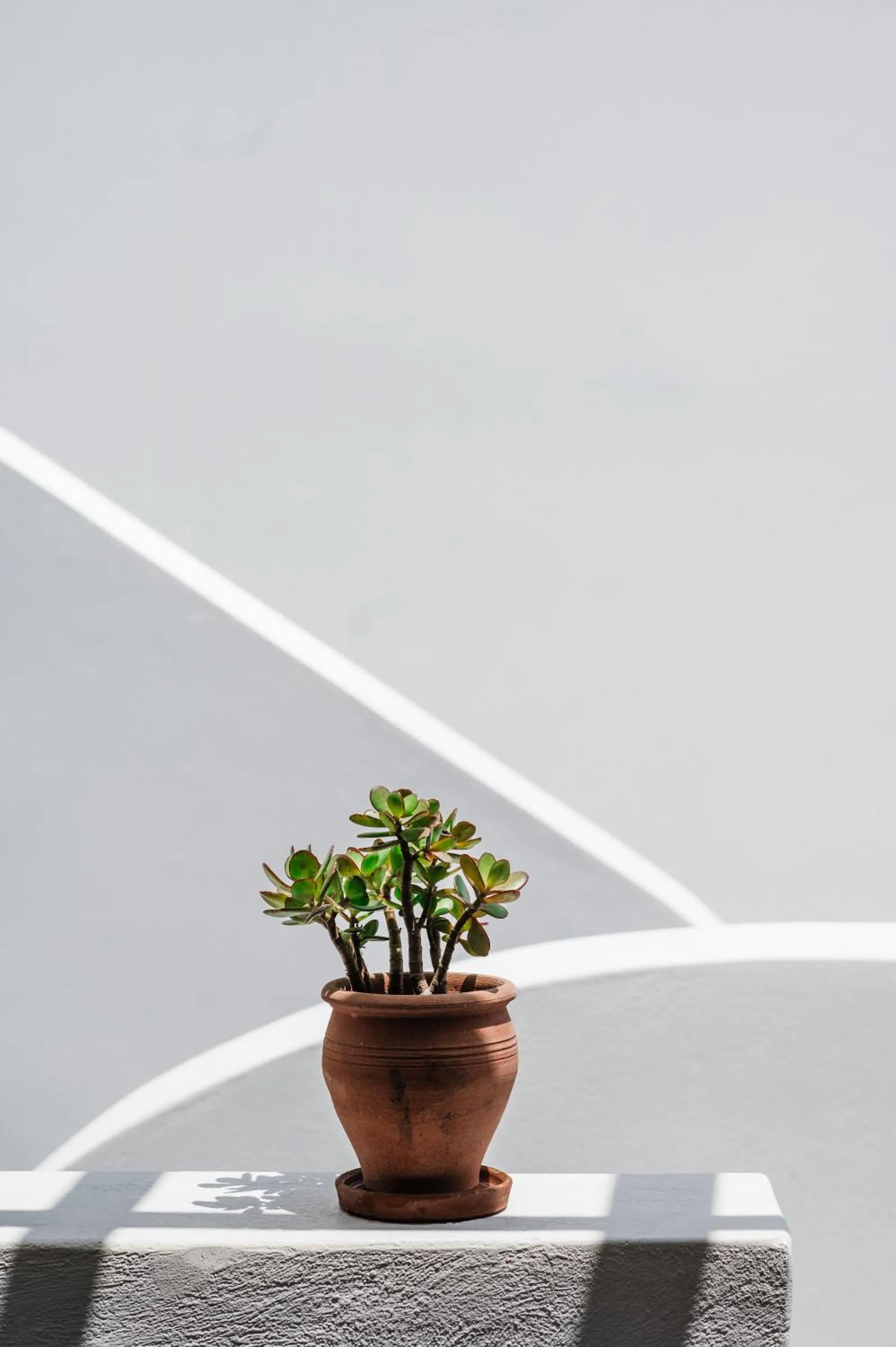 Property building in Amphitrite Suites Santorini