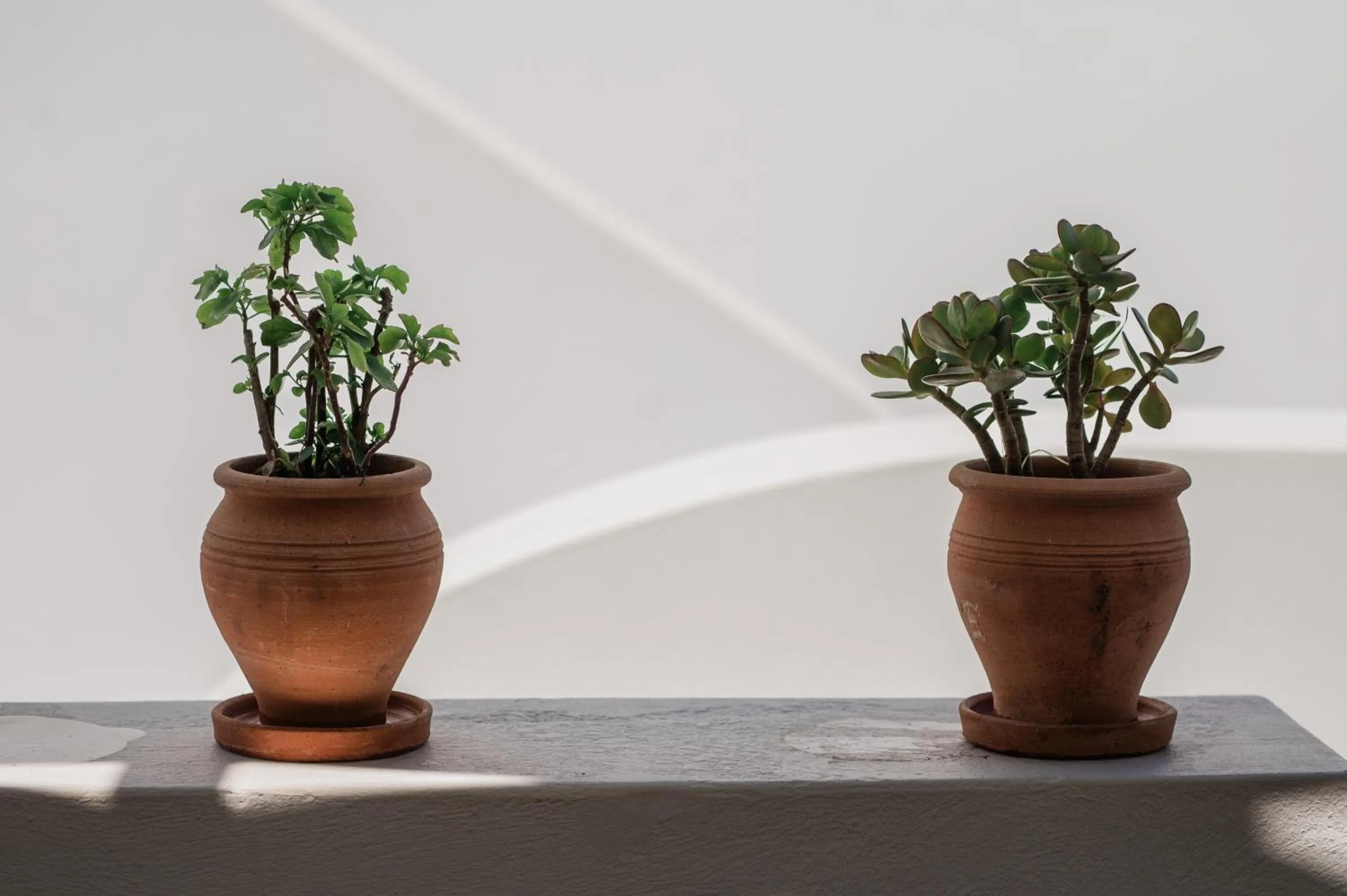 Property building in Amphitrite Suites Santorini