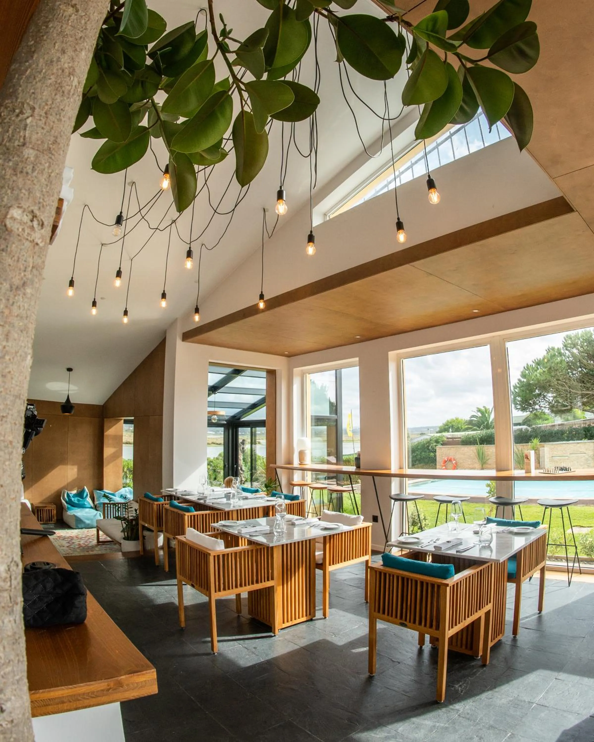 Restaurant/places to eat in Sense of Ofir