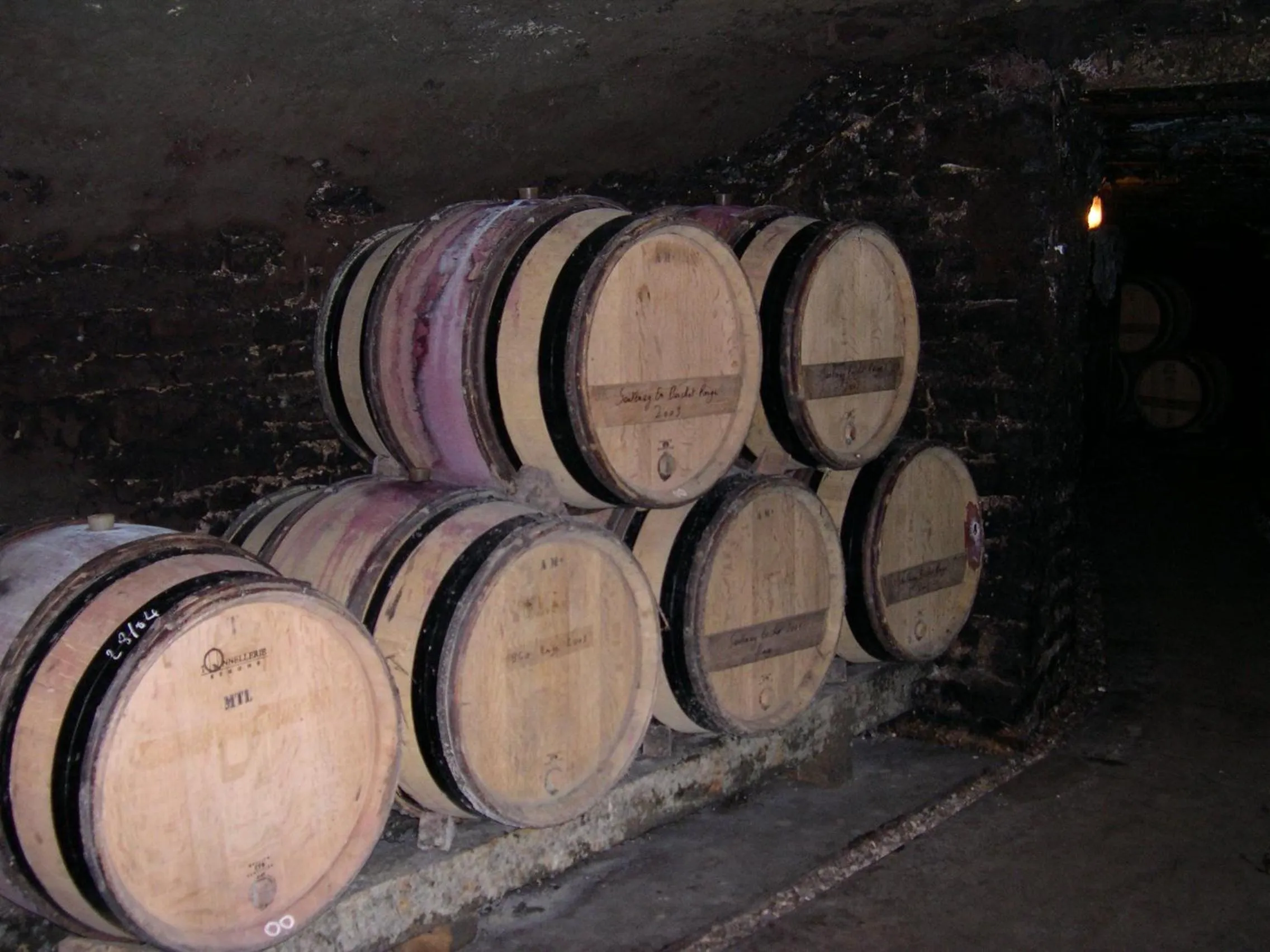 Activities in Villa Thermae Santenay