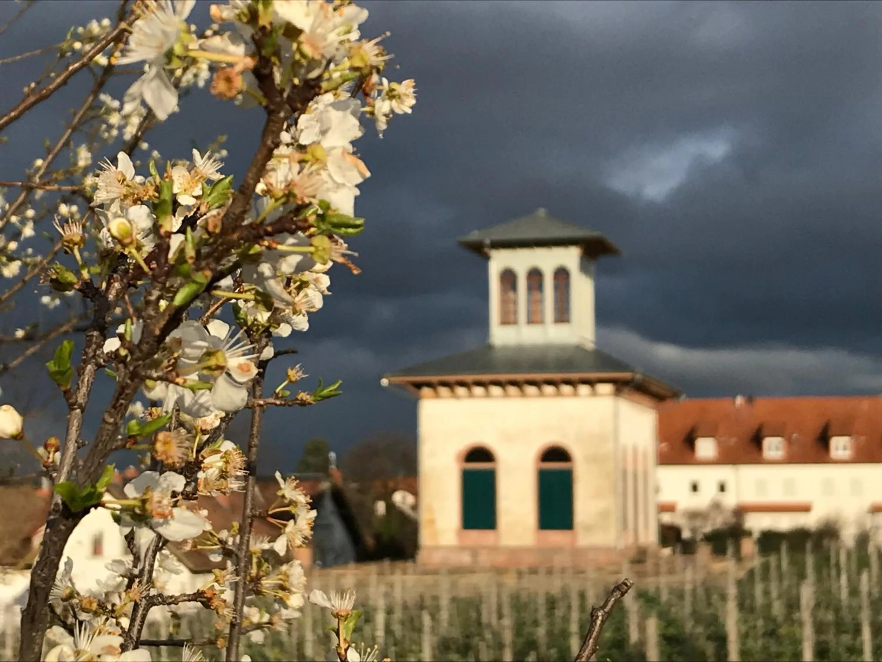 Landmark view in MAXX by Steigenberger Deidesheim