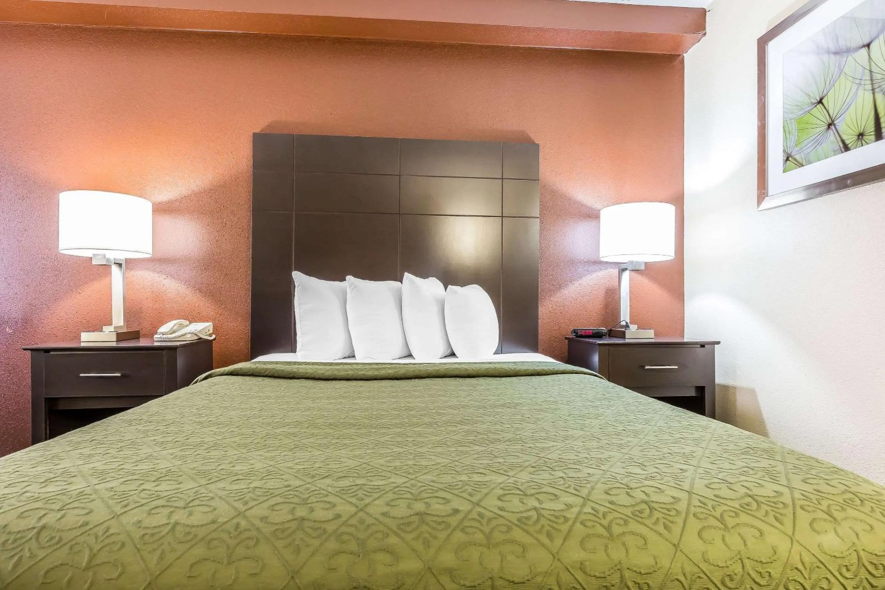 Photo of the whole room, Bed in Quality Inn Mount Vernon, IL