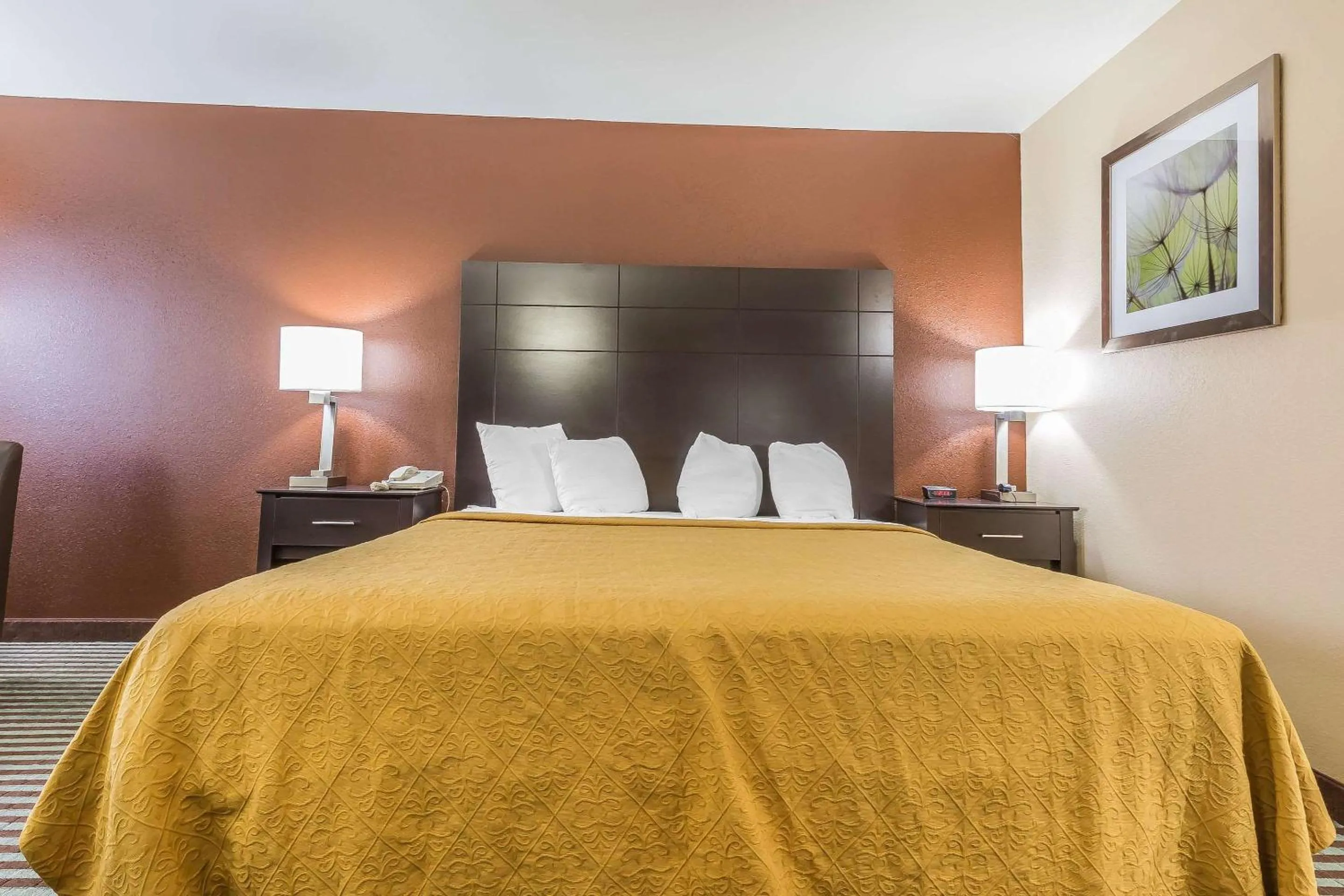 Bedroom, Bed in Quality Inn Mount Vernon, IL